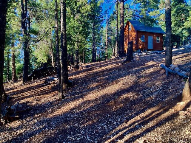 1345 N Ponderosa DR, Duck Creek Village, photo 1