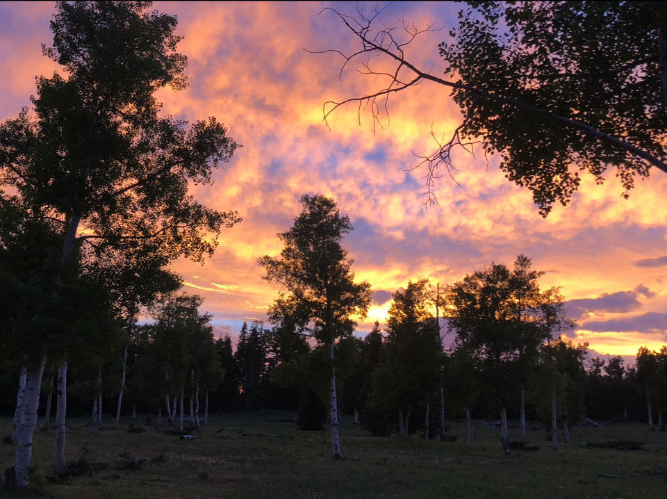 South of and Below Navajo Lake/N Fork R, 225 AC, Duck Creek Village