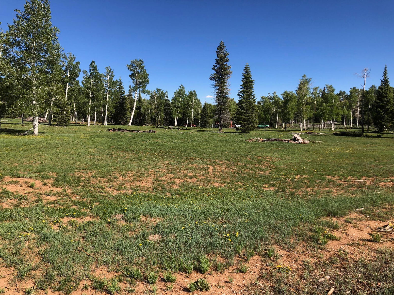 South of and Below Navajo Lake/N Fork R, 225 AC, Duck Creek Village, photo 2 of 55