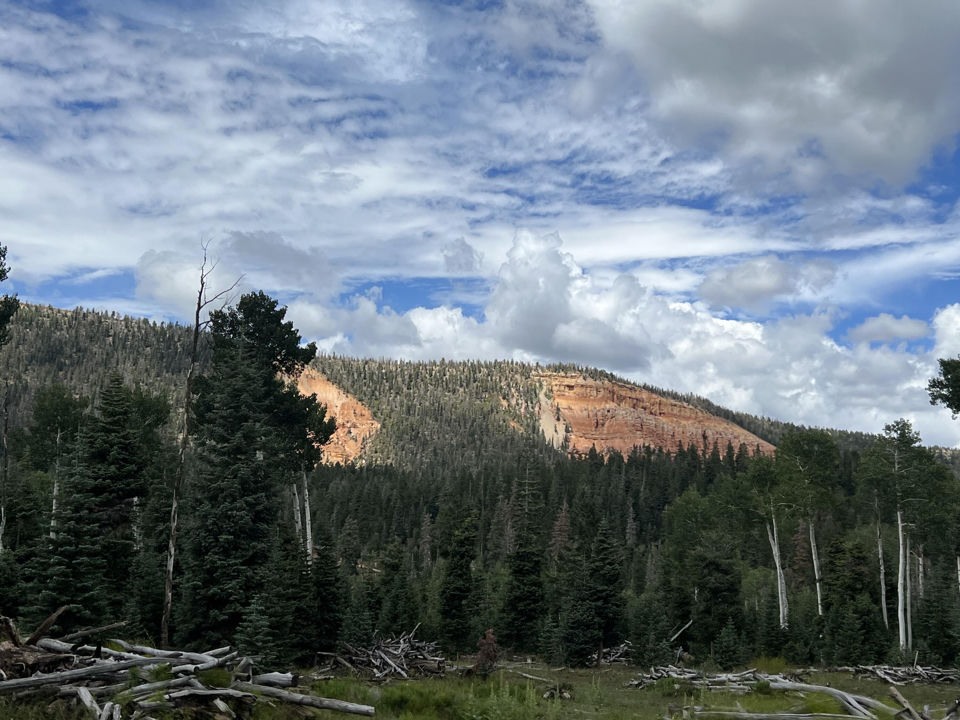 South of and Below Navajo Lake/N Fork R, 225 AC, Duck Creek Village, photo 3