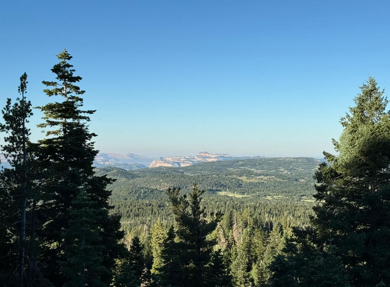 South of and Below Navajo Lake/N Fork R, 225 AC, Duck Creek Village, photo 5 of 55