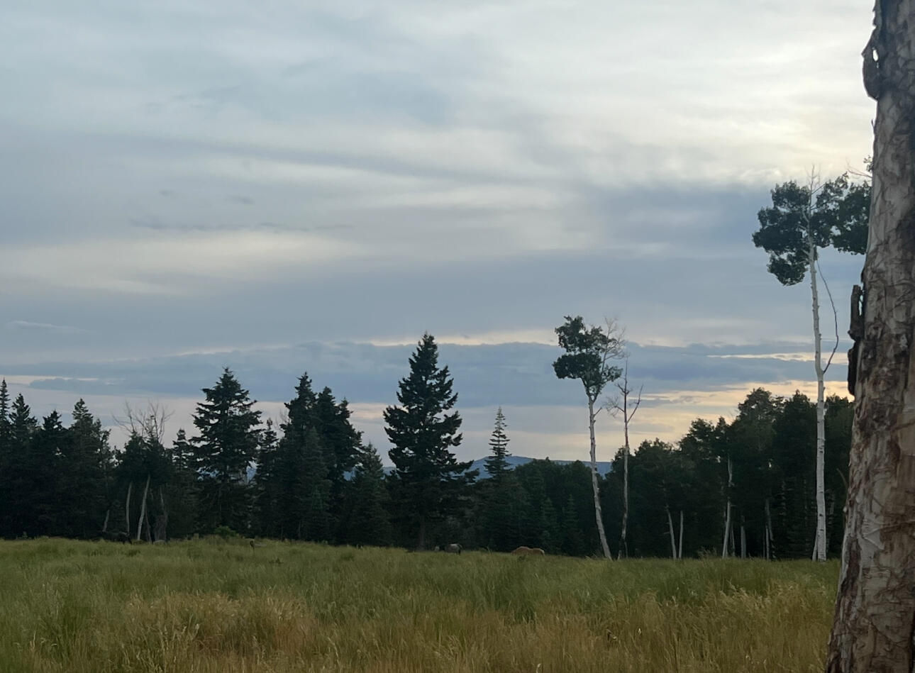 South of and Below Navajo Lake/N Fork R, 225 AC, Duck Creek Village, photo 7 of 55