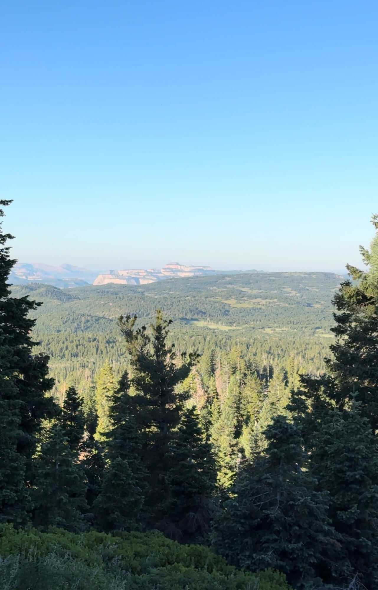 South of and Below Navajo Lake/N Fork R, 225 AC, Duck Creek Village, photo 11 of 55