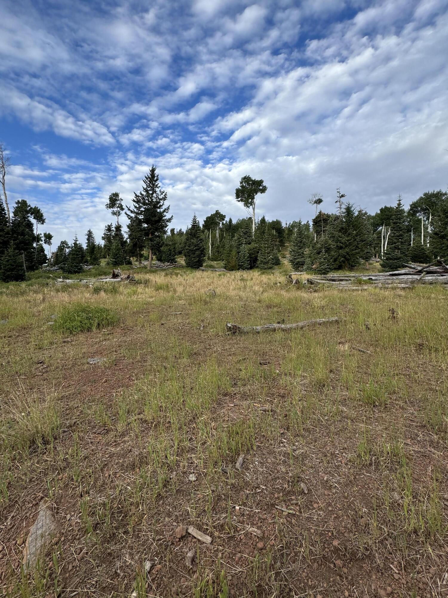 South of and Below Navajo Lake/N Fork R, 225 AC, Duck Creek Village, photo 12 of 55