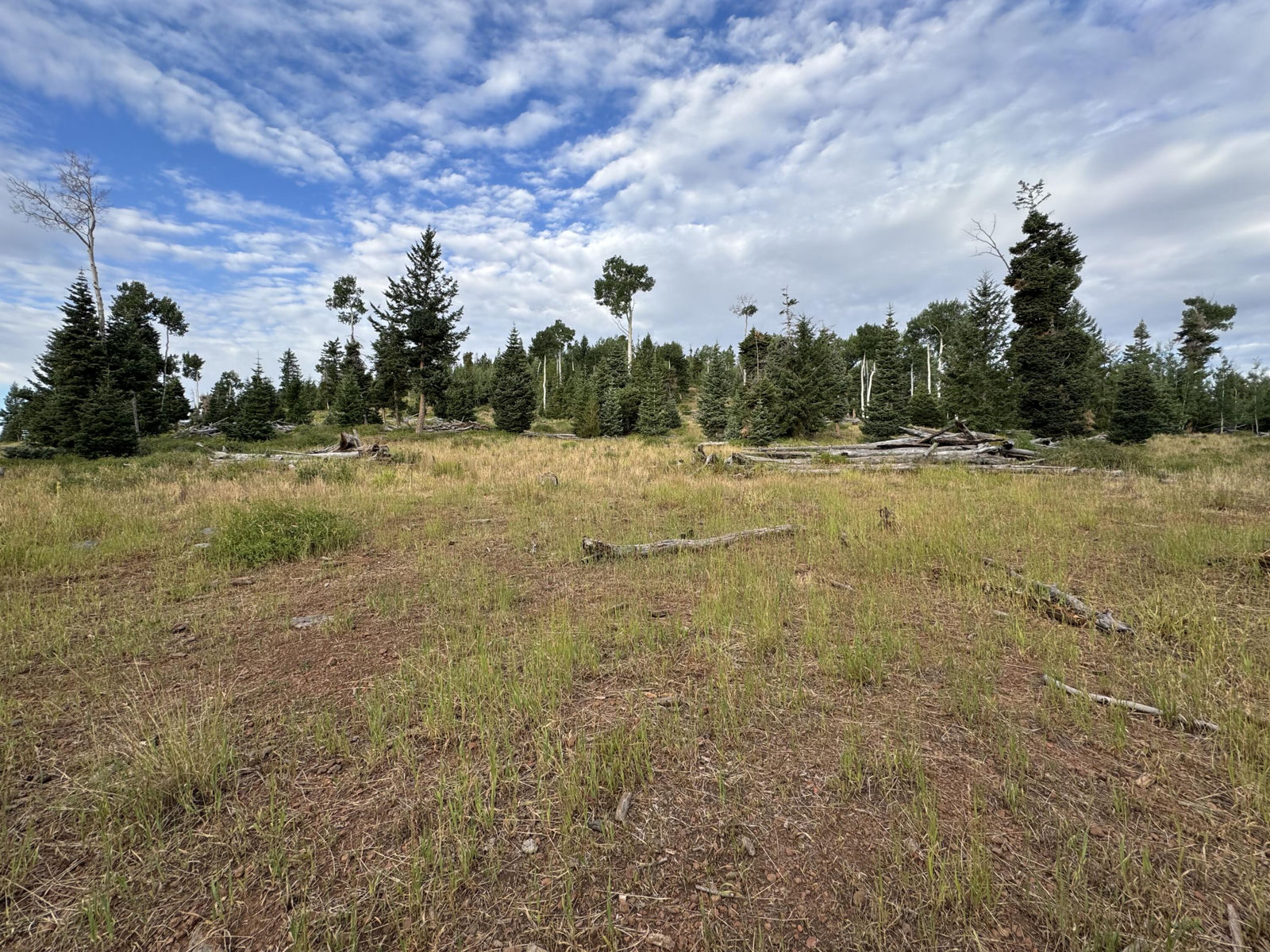 South of and Below Navajo Lake/N Fork R, 225 AC, Duck Creek Village, photo 14 of 55