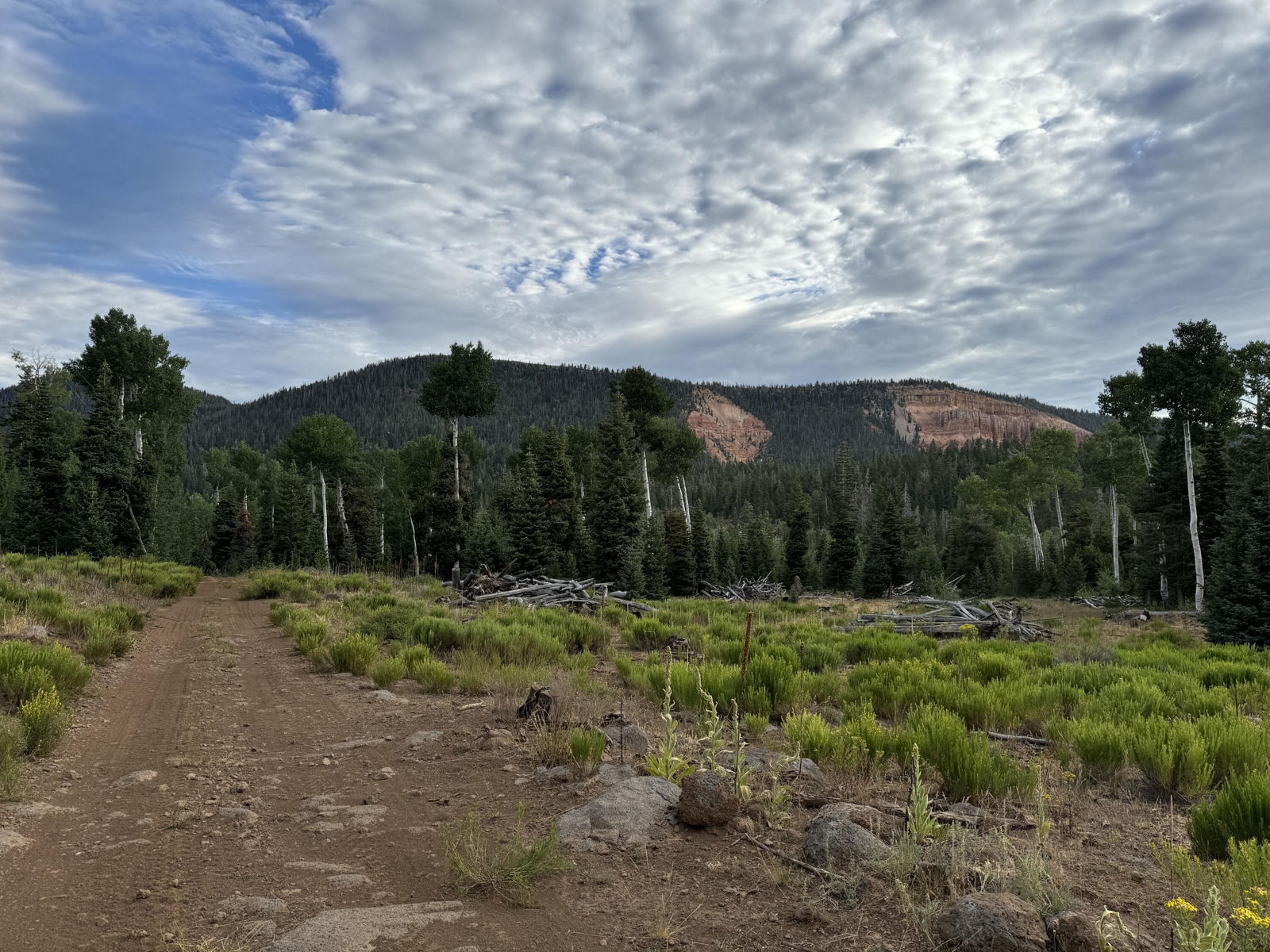 South of and Below Navajo Lake/N Fork R, 225 AC, Duck Creek Village, photo 15 of 55