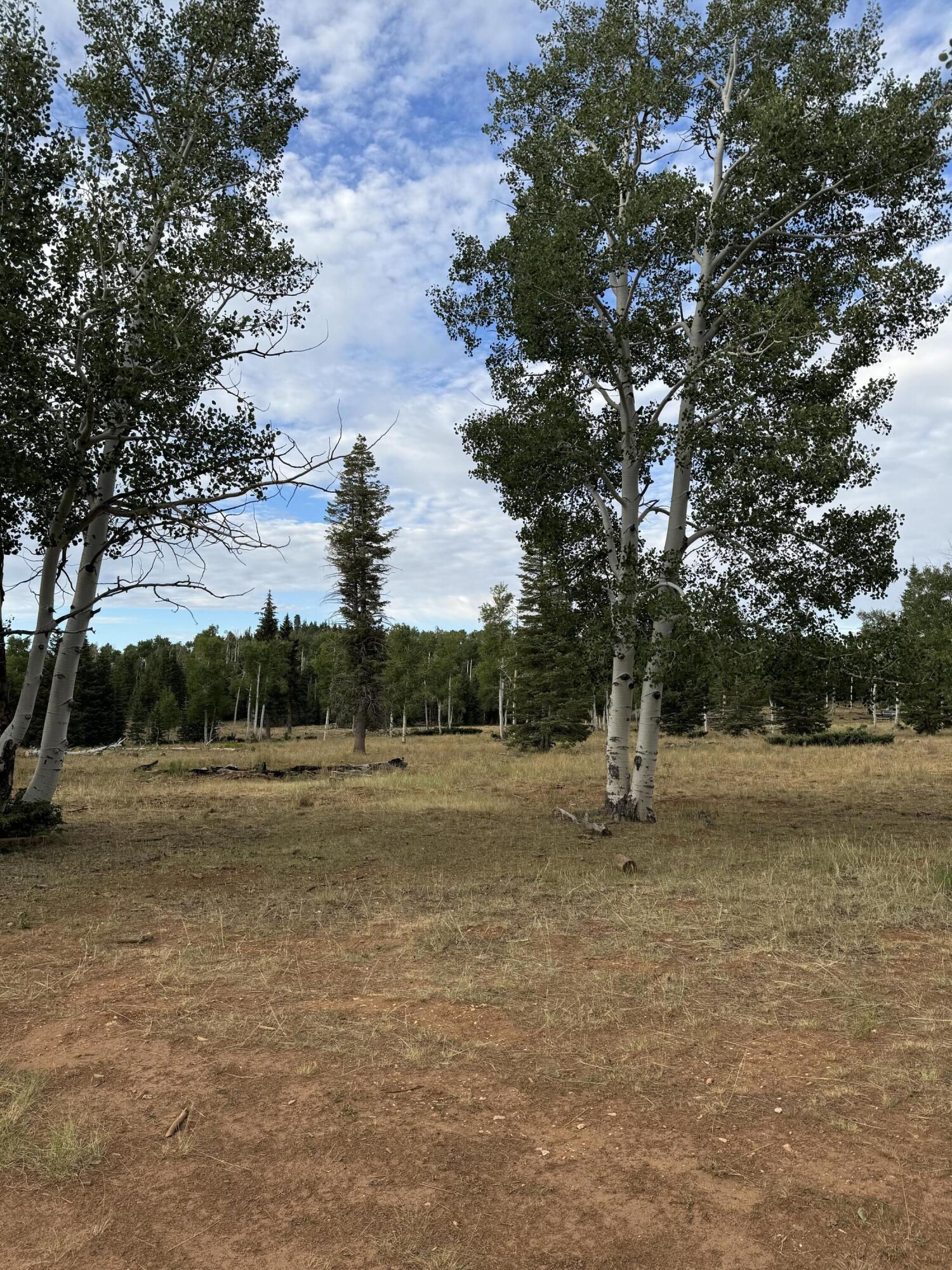 South of and Below Navajo Lake/N Fork R, 225 AC, Duck Creek Village, photo 16 of 55