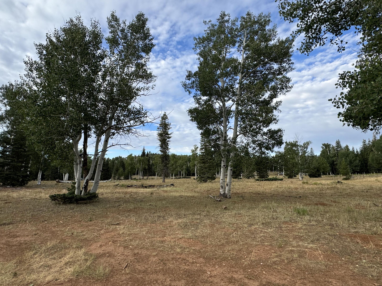 South of and Below Navajo Lake/N Fork R, 225 AC, Duck Creek Village, photo 17 of 55