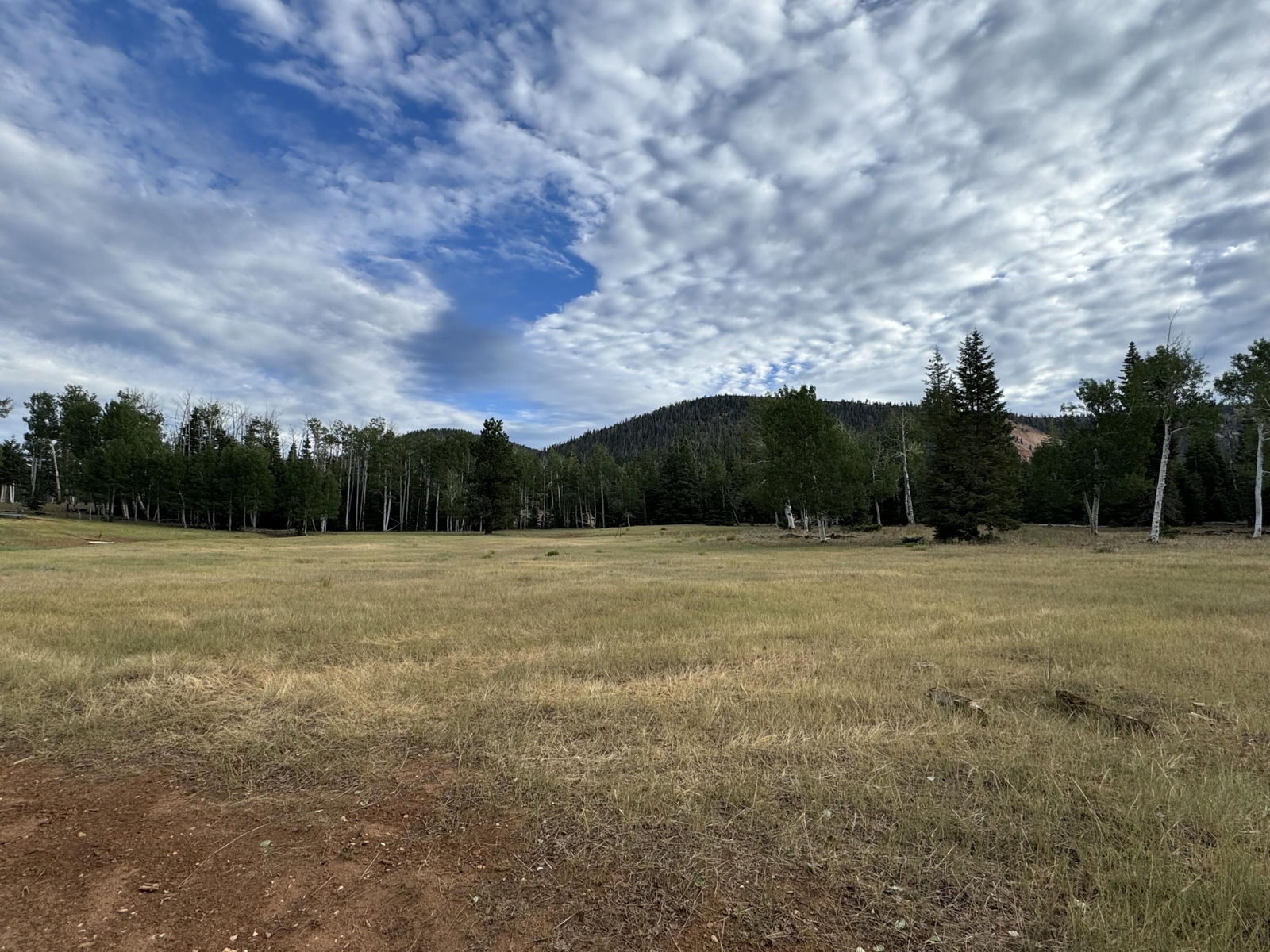 South of and Below Navajo Lake/N Fork R, 225 AC, Duck Creek Village, photo 18 of 55