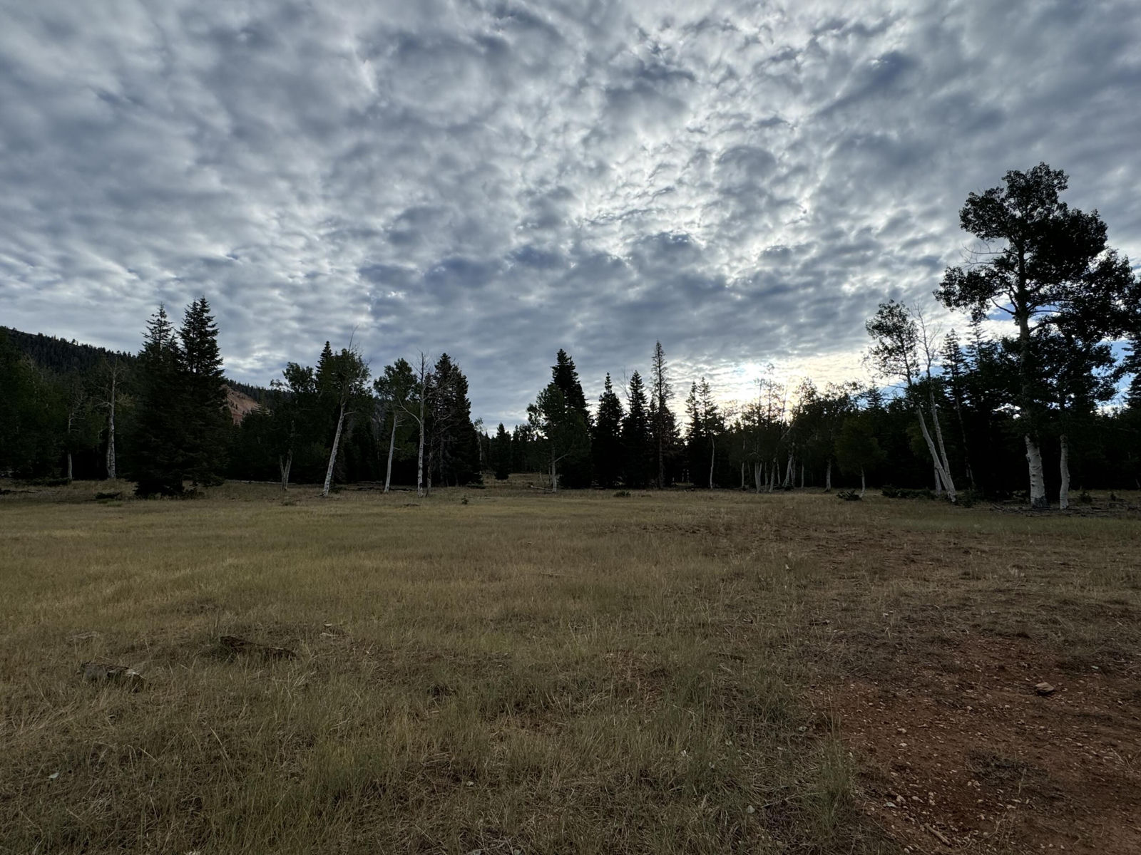 South of and Below Navajo Lake/N Fork R, 225 AC, Duck Creek Village, photo 19 of 55