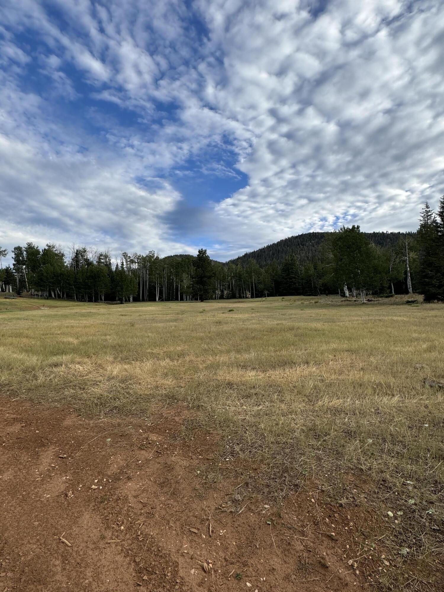 South of and Below Navajo Lake/N Fork R, 225 AC, Duck Creek Village, photo 20 of 55