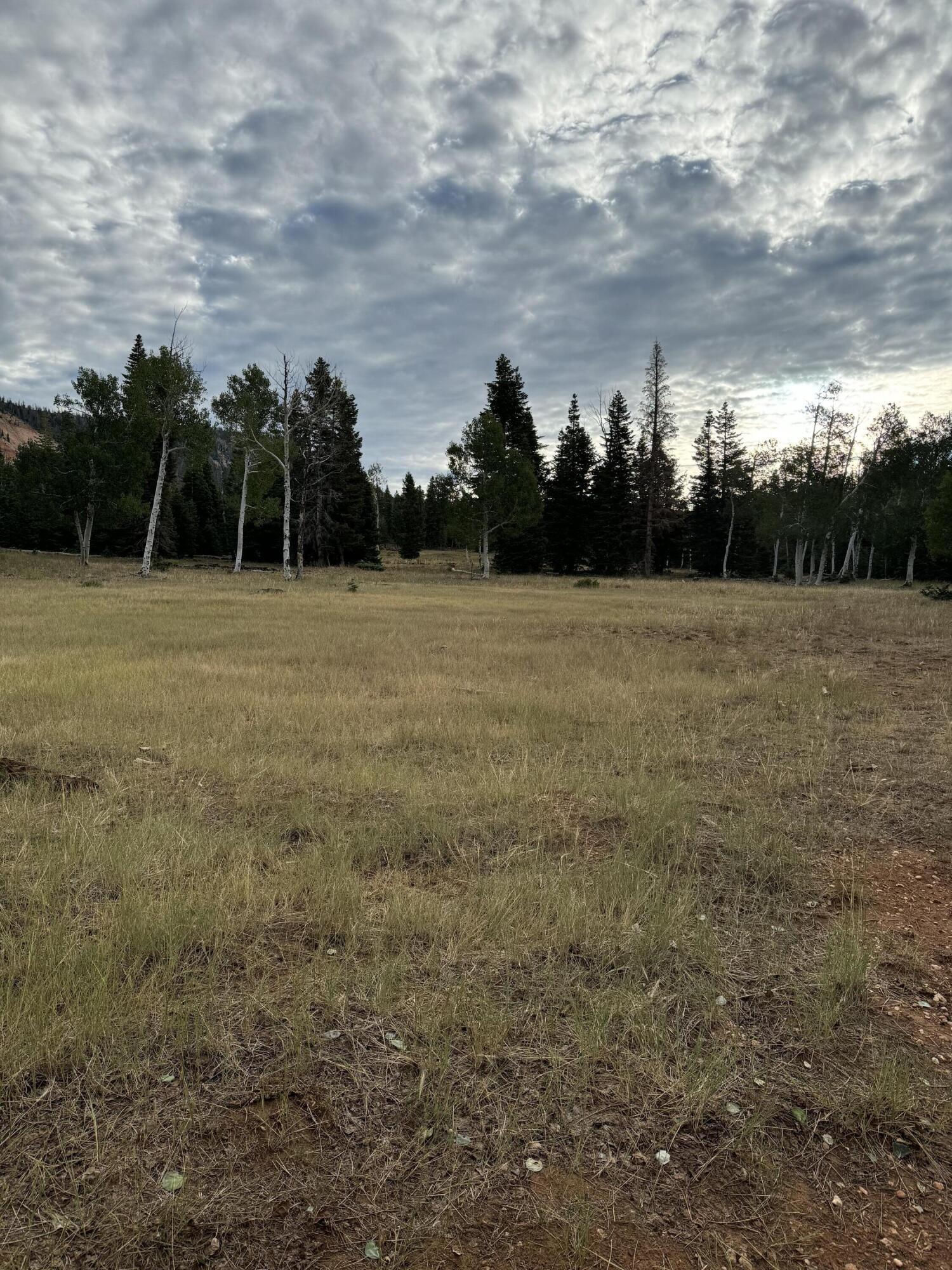 South of and Below Navajo Lake/N Fork R, 225 AC, Duck Creek Village, photo 21 of 55