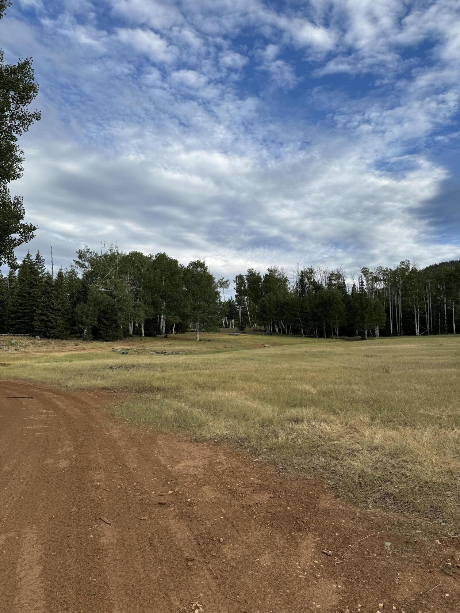 South of and Below Navajo Lake/N Fork R, 225 AC, Duck Creek Village, photo 22 of 55