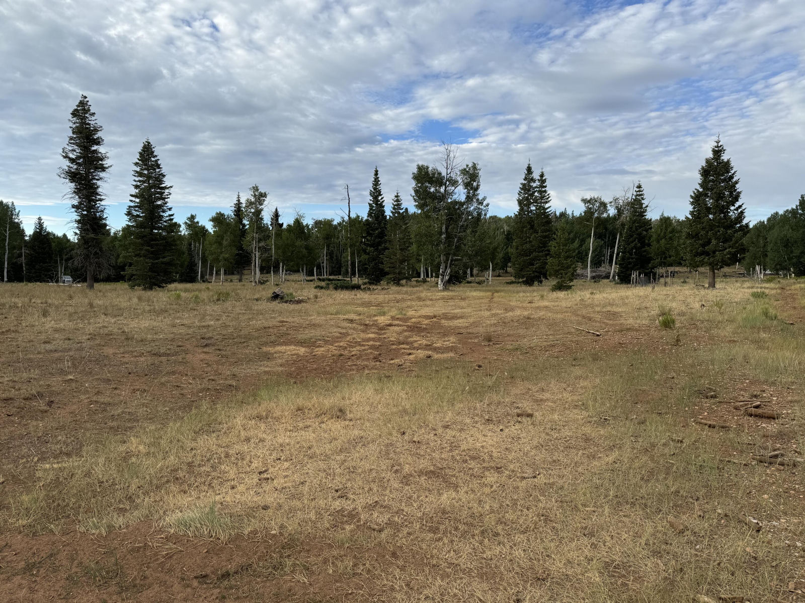 South of and Below Navajo Lake/N Fork R, 225 AC, Duck Creek Village, photo 23 of 55