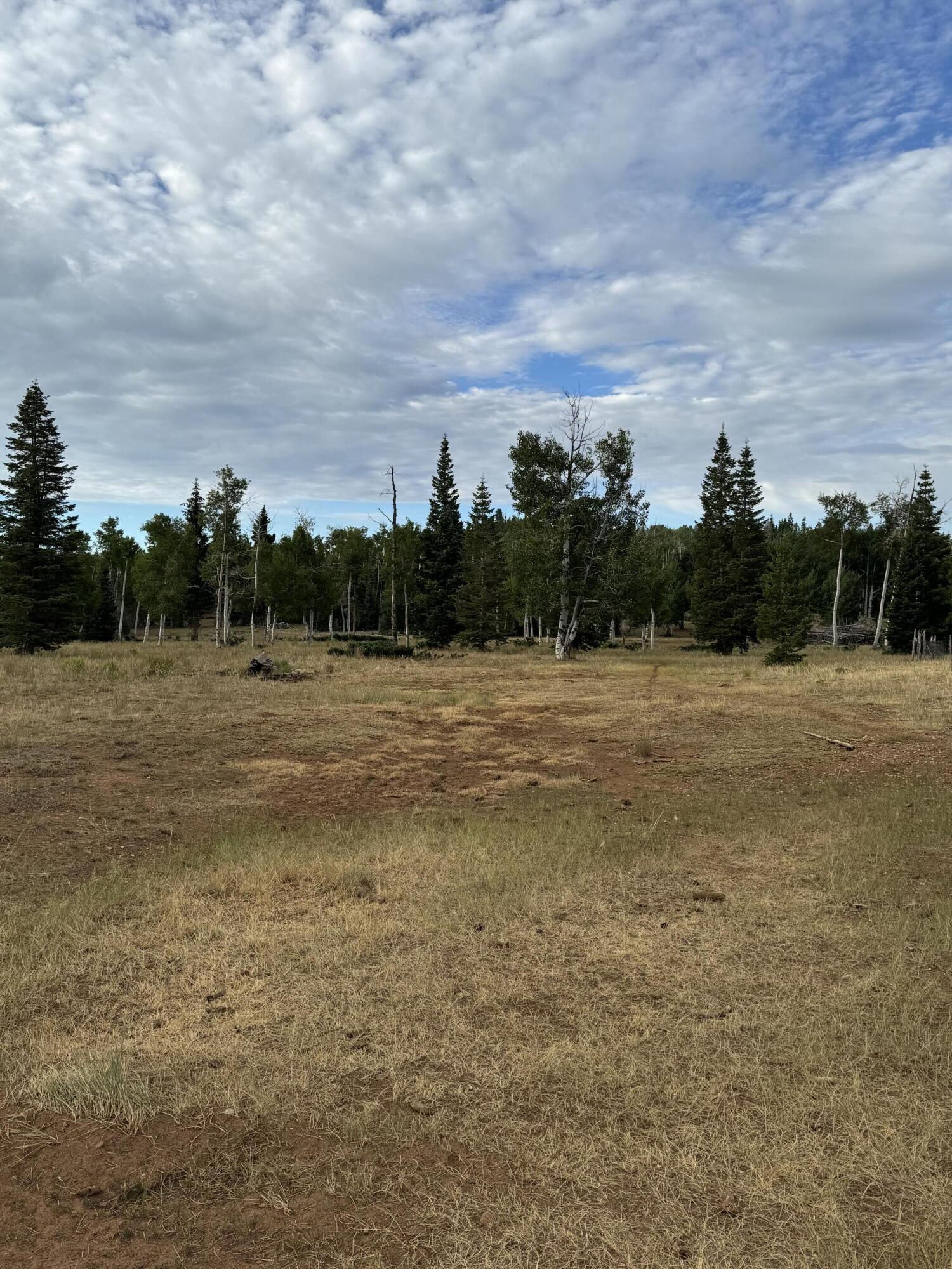 South of and Below Navajo Lake/N Fork R, 225 AC, Duck Creek Village, photo 24 of 55