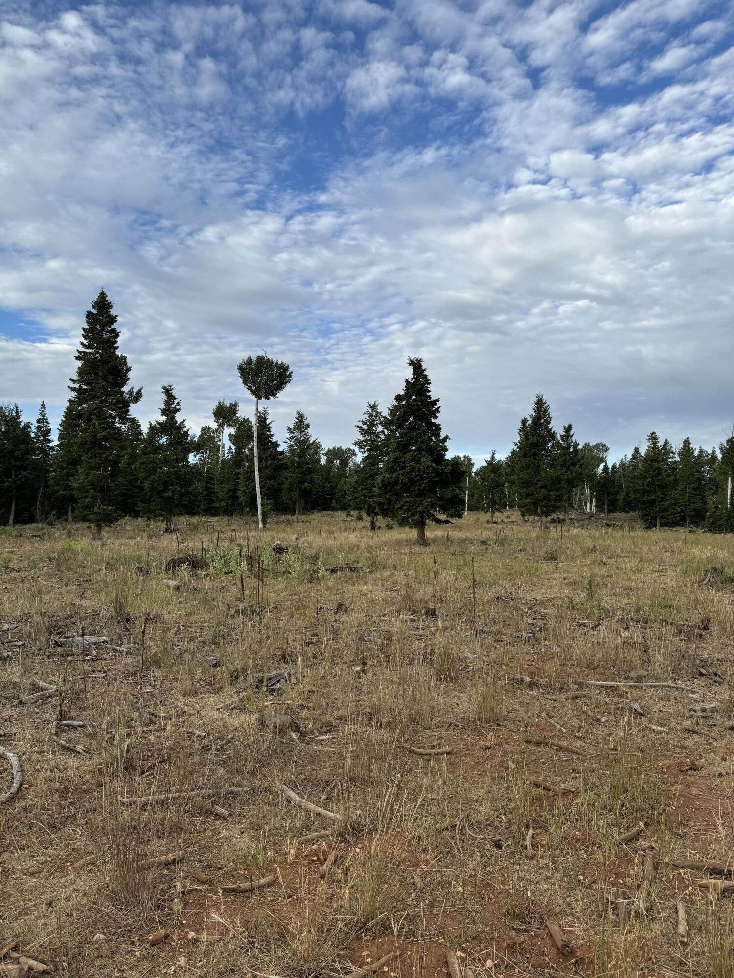 South of and Below Navajo Lake/N Fork R, 225 AC, Duck Creek Village, photo 25 of 55