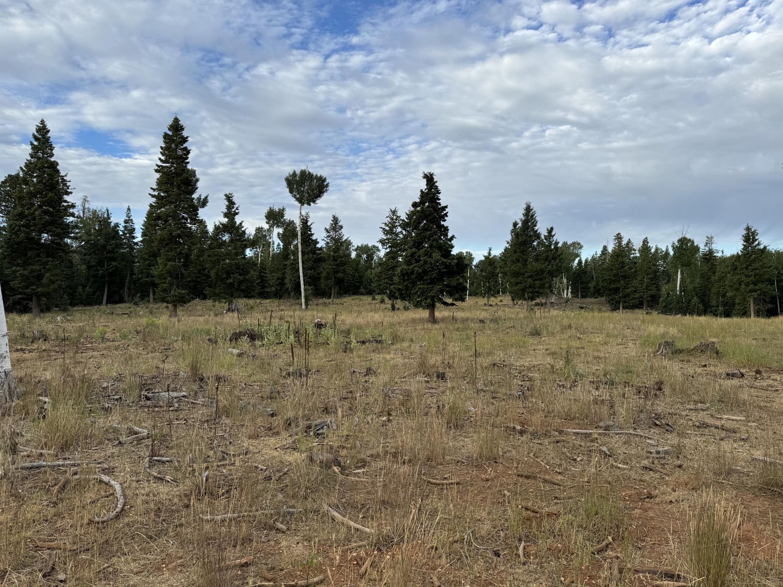 South of and Below Navajo Lake/N Fork R, 225 AC, Duck Creek Village, photo 26 of 55