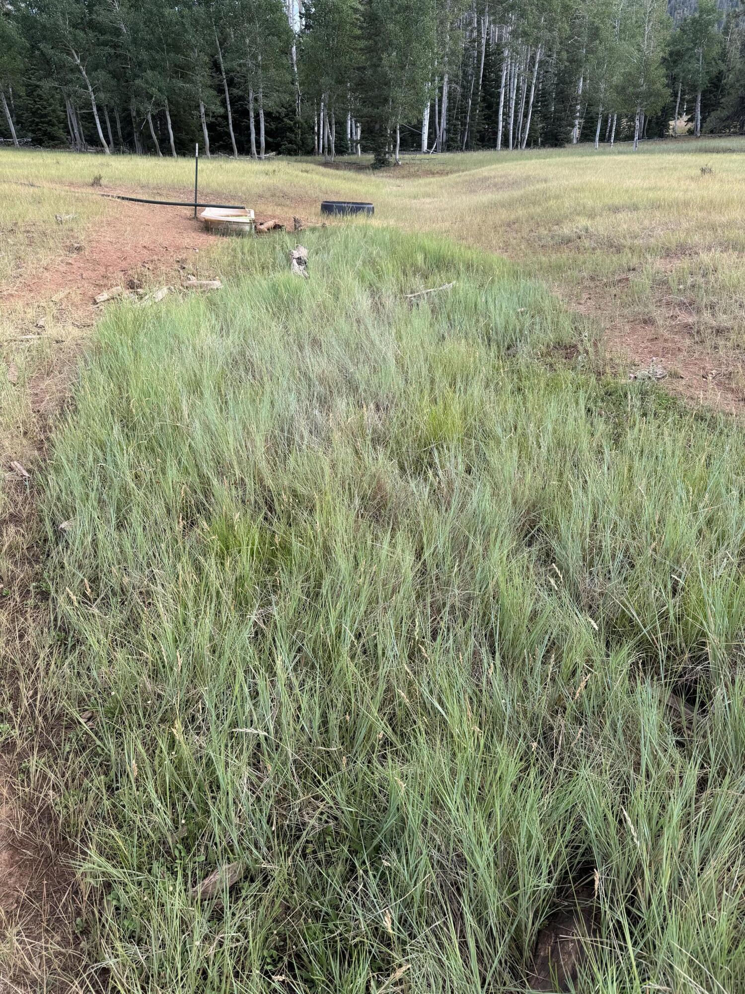 South of and Below Navajo Lake/N Fork R, 225 AC, Duck Creek Village, photo 27 of 55