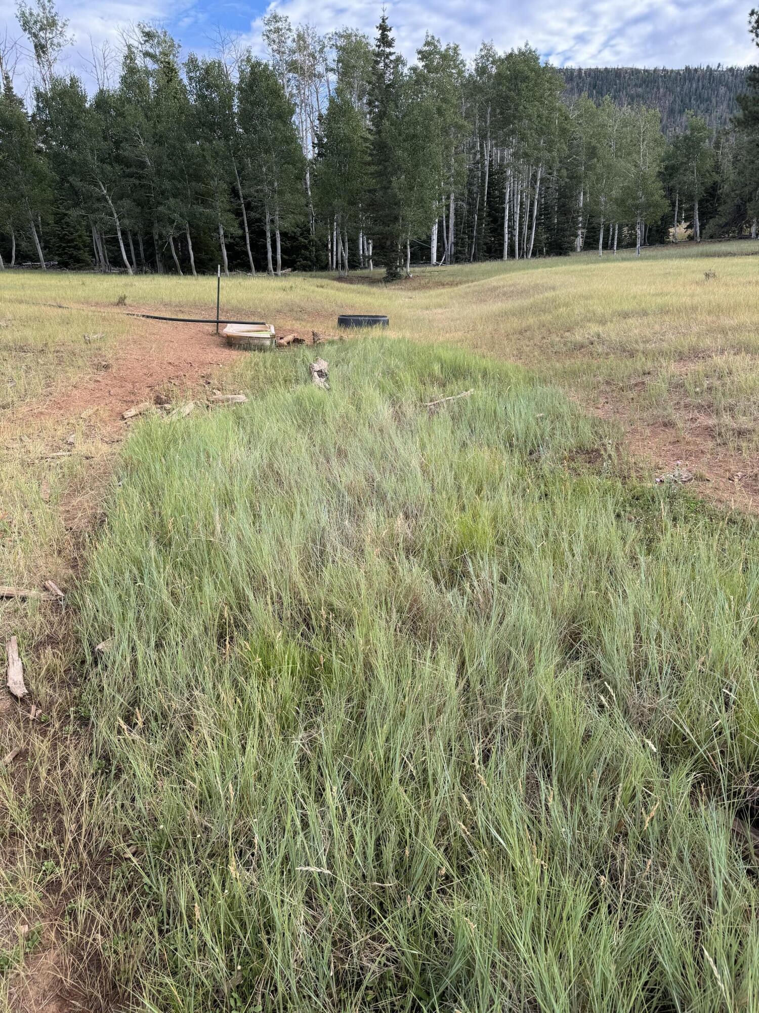 South of and Below Navajo Lake/N Fork R, 225 AC, Duck Creek Village, photo 28 of 55