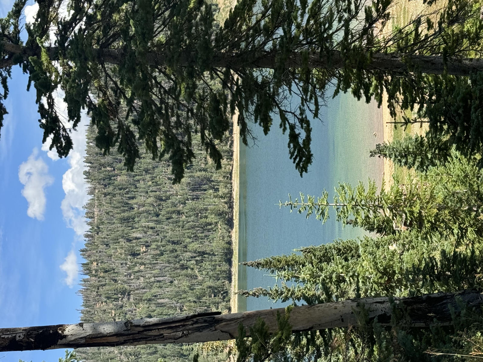 South of and Below Navajo Lake/N Fork R, 225 AC, Duck Creek Village, photo 29 of 55