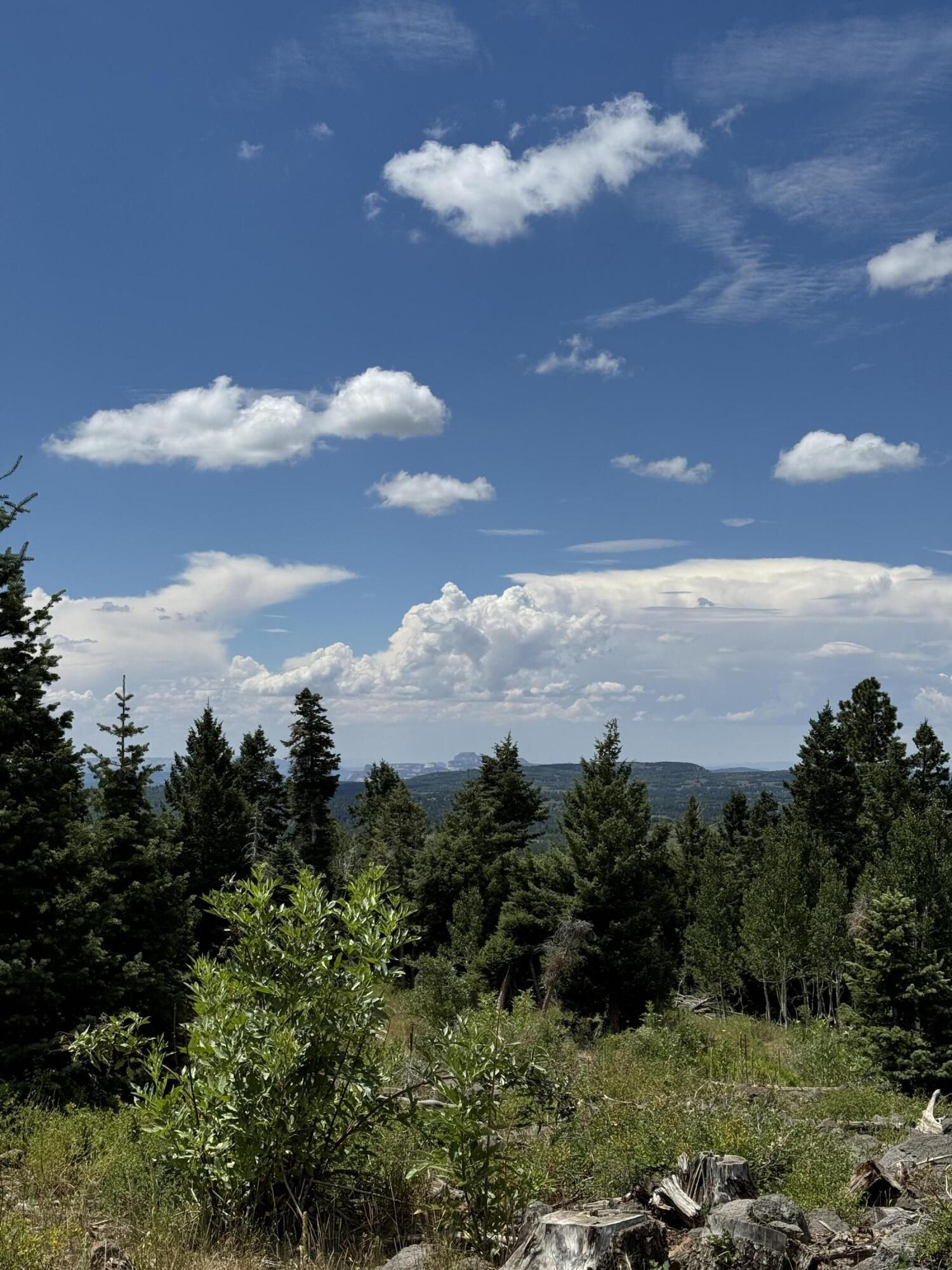 South of and Below Navajo Lake/N Fork R, 225 AC, Duck Creek Village, photo 30 of 55