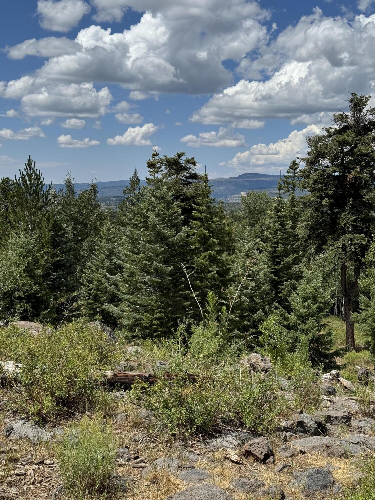 South of and Below Navajo Lake/N Fork R, 225 AC, Duck Creek Village, photo 31 of 55