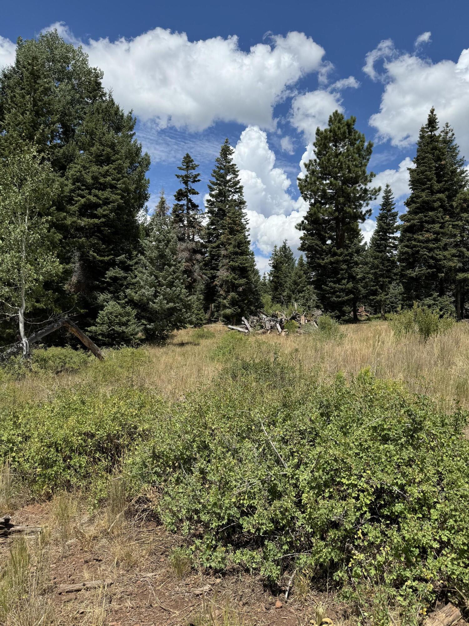 South of and Below Navajo Lake/N Fork R, 225 AC, Duck Creek Village, photo 33 of 55