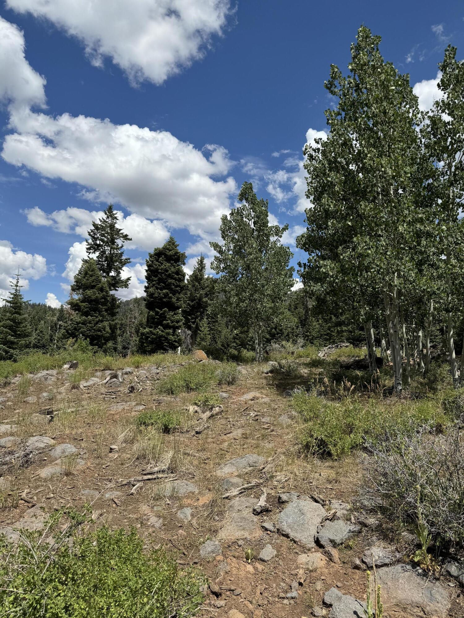 South of and Below Navajo Lake/N Fork R, 225 AC, Duck Creek Village, photo 34 of 55