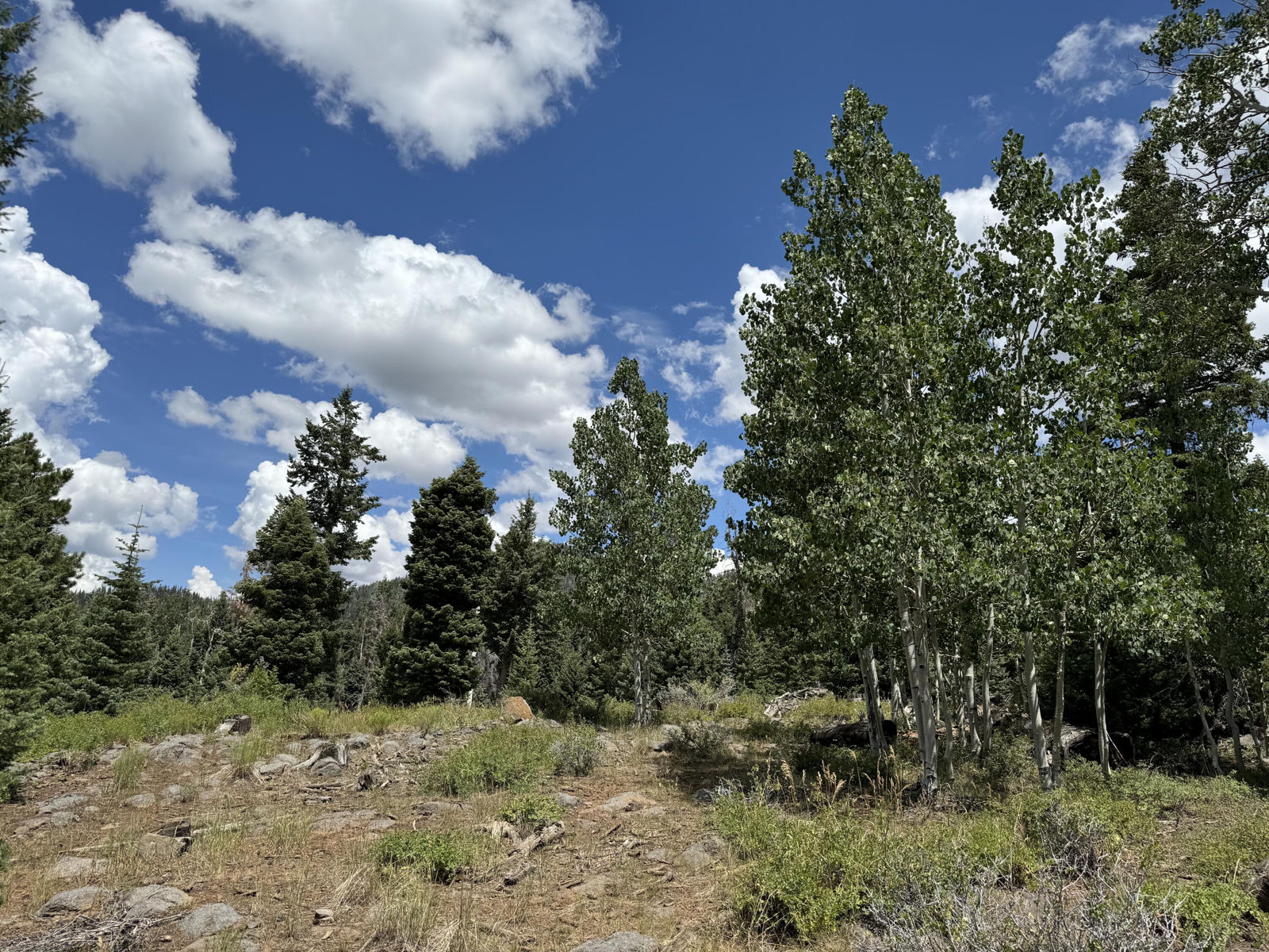 South of and Below Navajo Lake/N Fork R, 225 AC, Duck Creek Village, photo 35 of 55