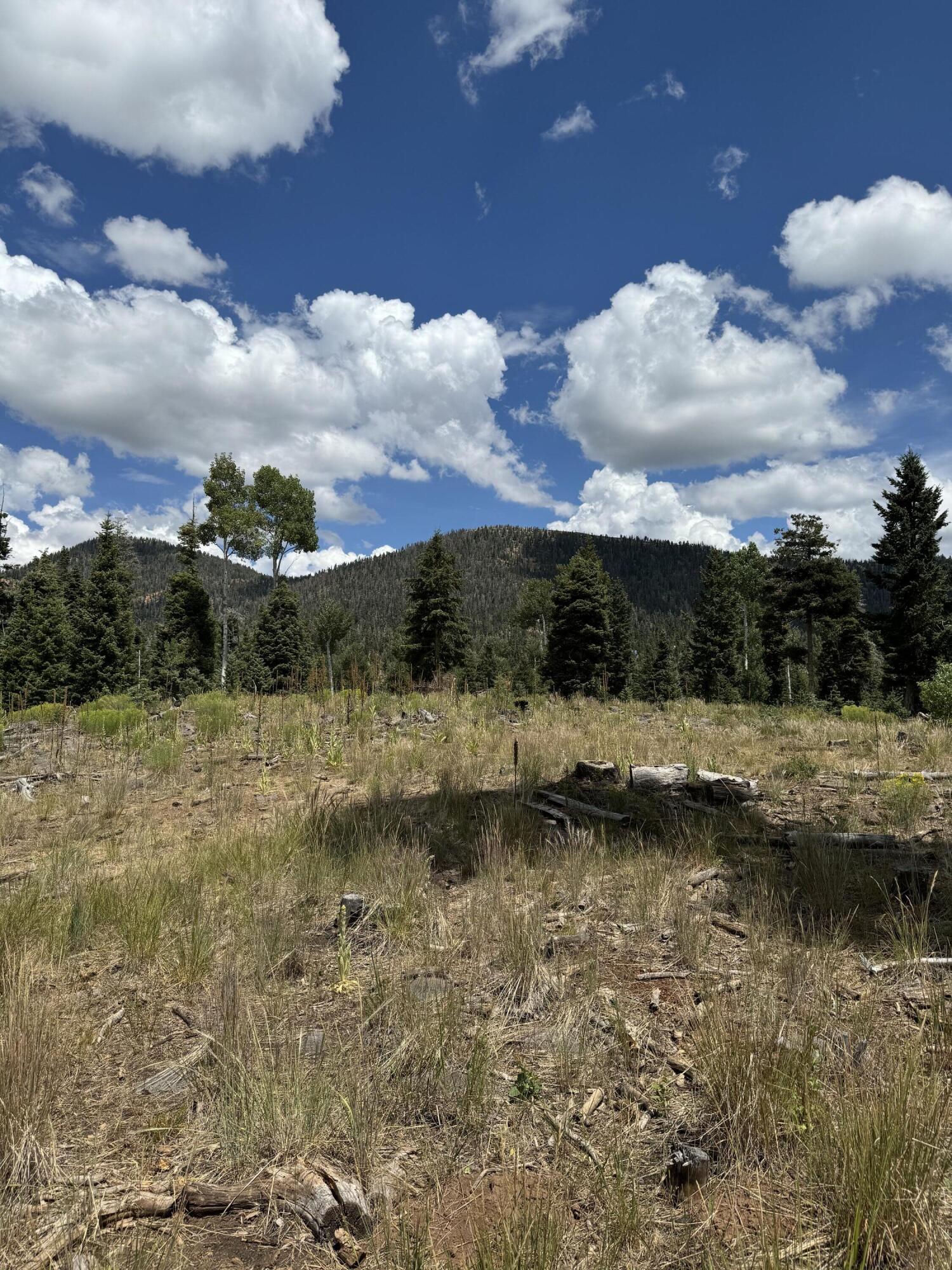 South of and Below Navajo Lake/N Fork R, 225 AC, Duck Creek Village, photo 36 of 55