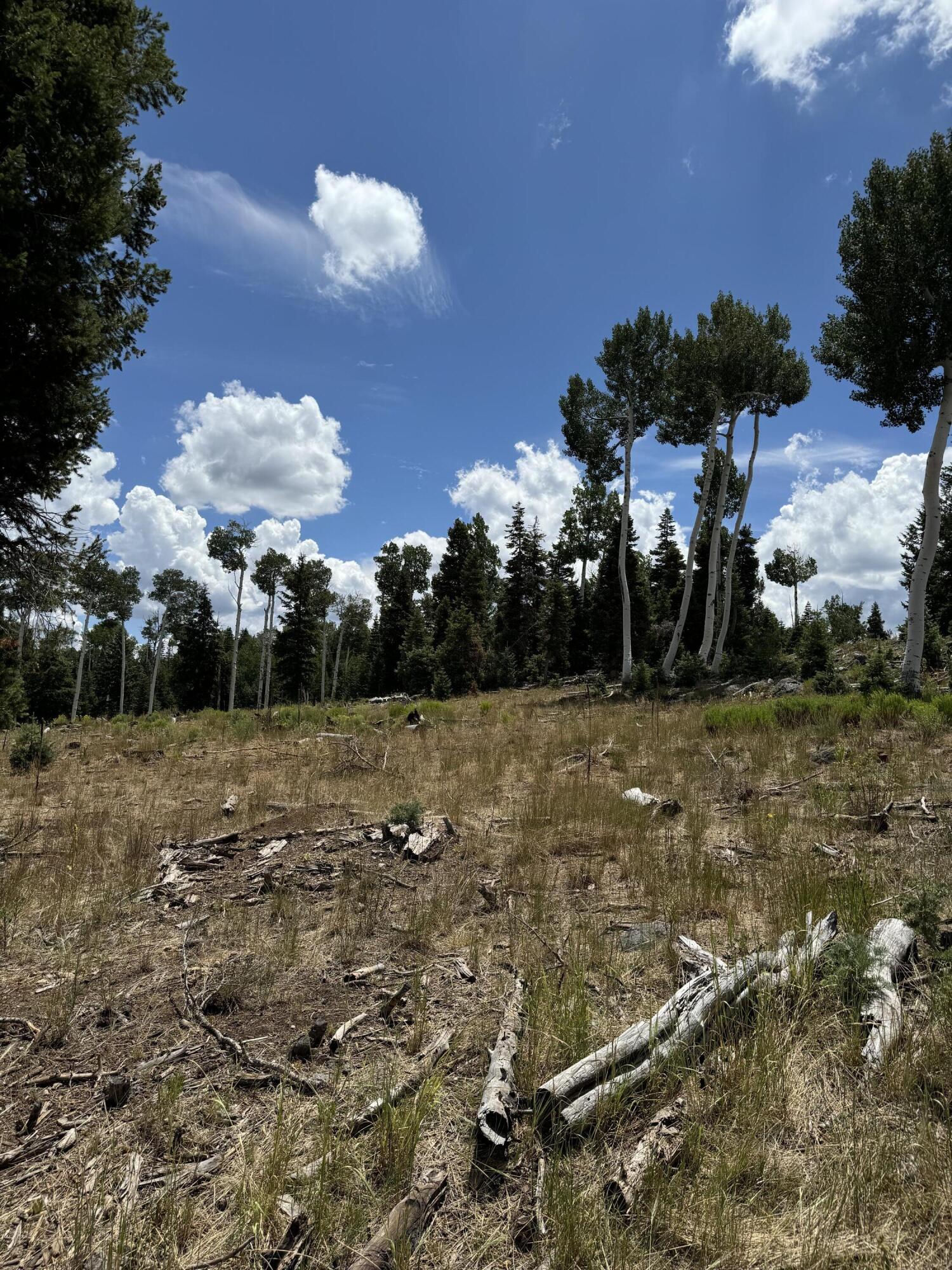 South of and Below Navajo Lake/N Fork R, 225 AC, Duck Creek Village, photo 38 of 55