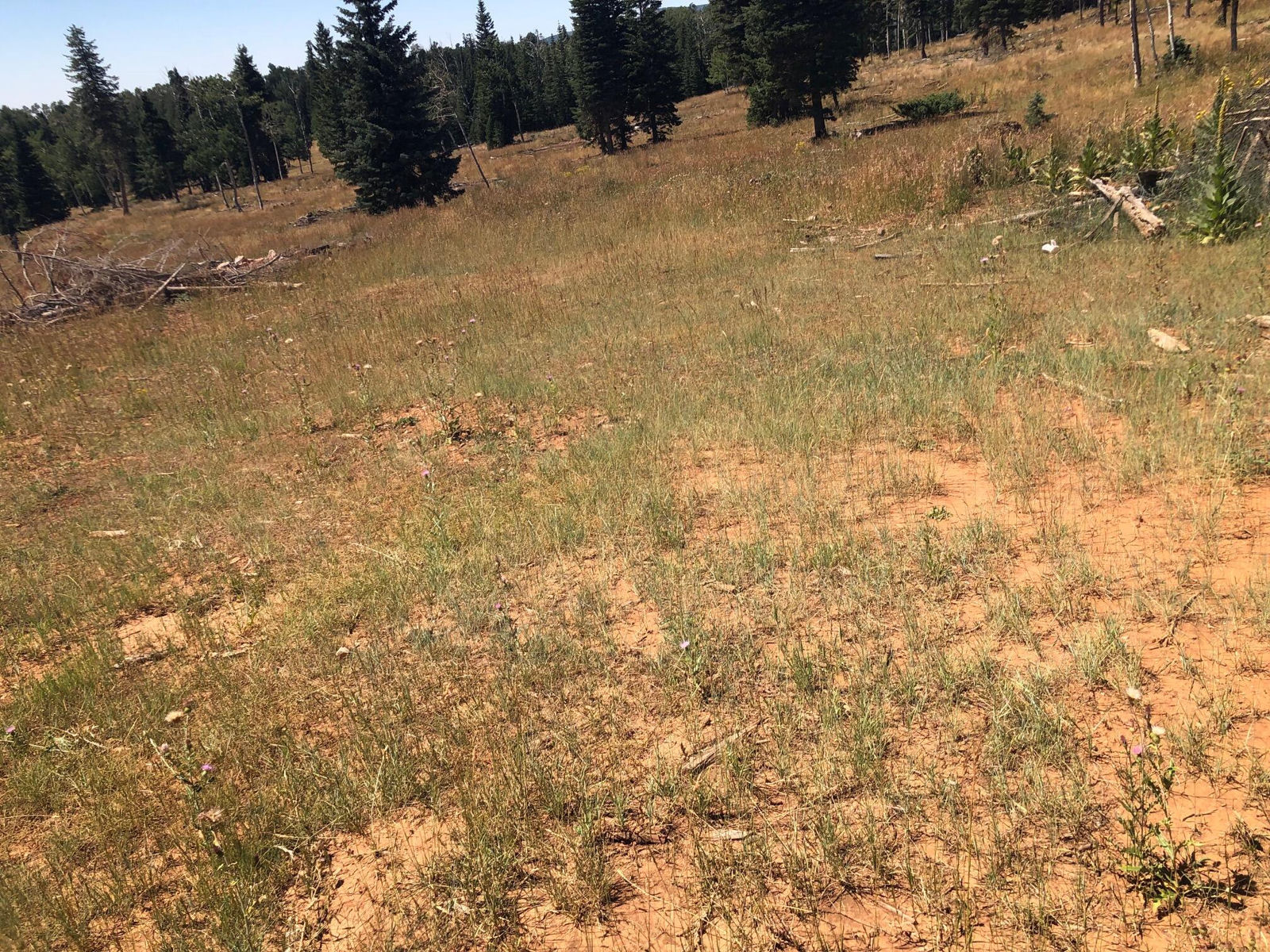 South of and Below Navajo Lake/N Fork R, 225 AC, Duck Creek Village, photo 39 of 55