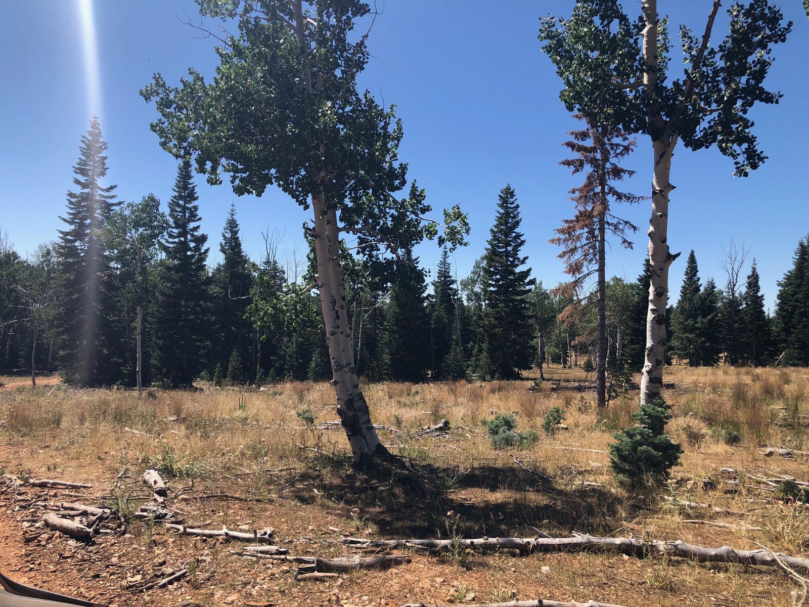 South of and Below Navajo Lake/N Fork R, 225 AC, Duck Creek Village, photo 40 of 55