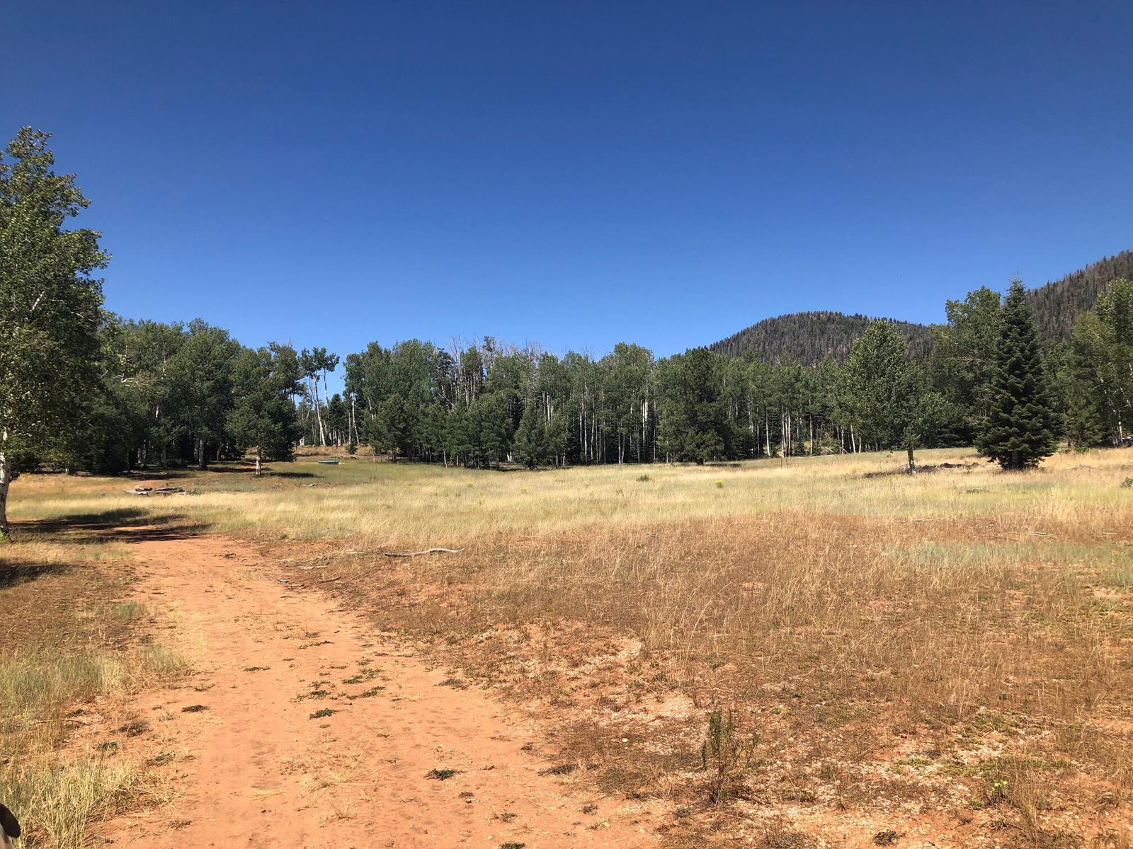 South of and Below Navajo Lake/N Fork R, 225 AC, Duck Creek Village, photo 42 of 55
