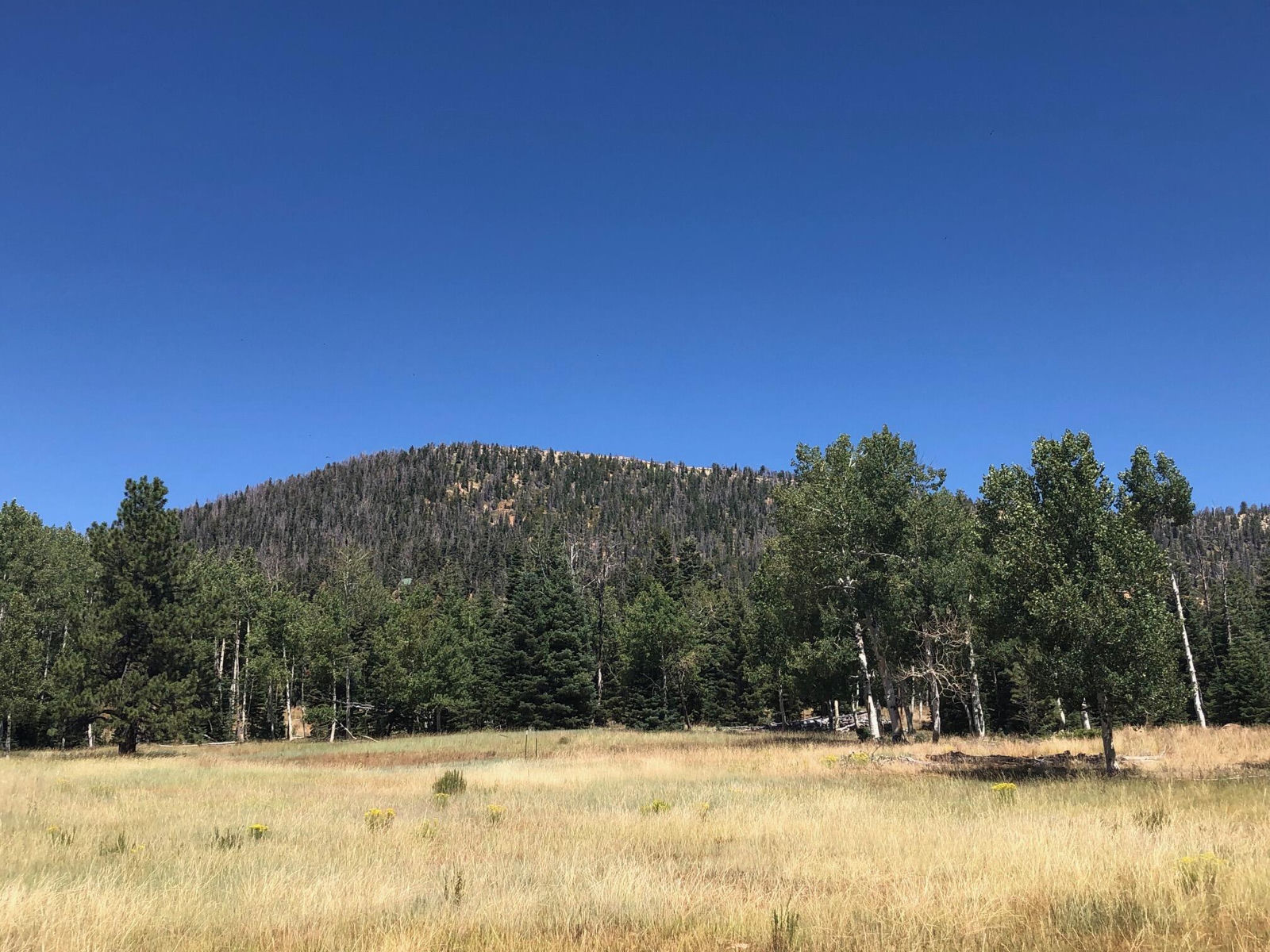 South of and Below Navajo Lake/N Fork R, 225 AC, Duck Creek Village, photo 43 of 55