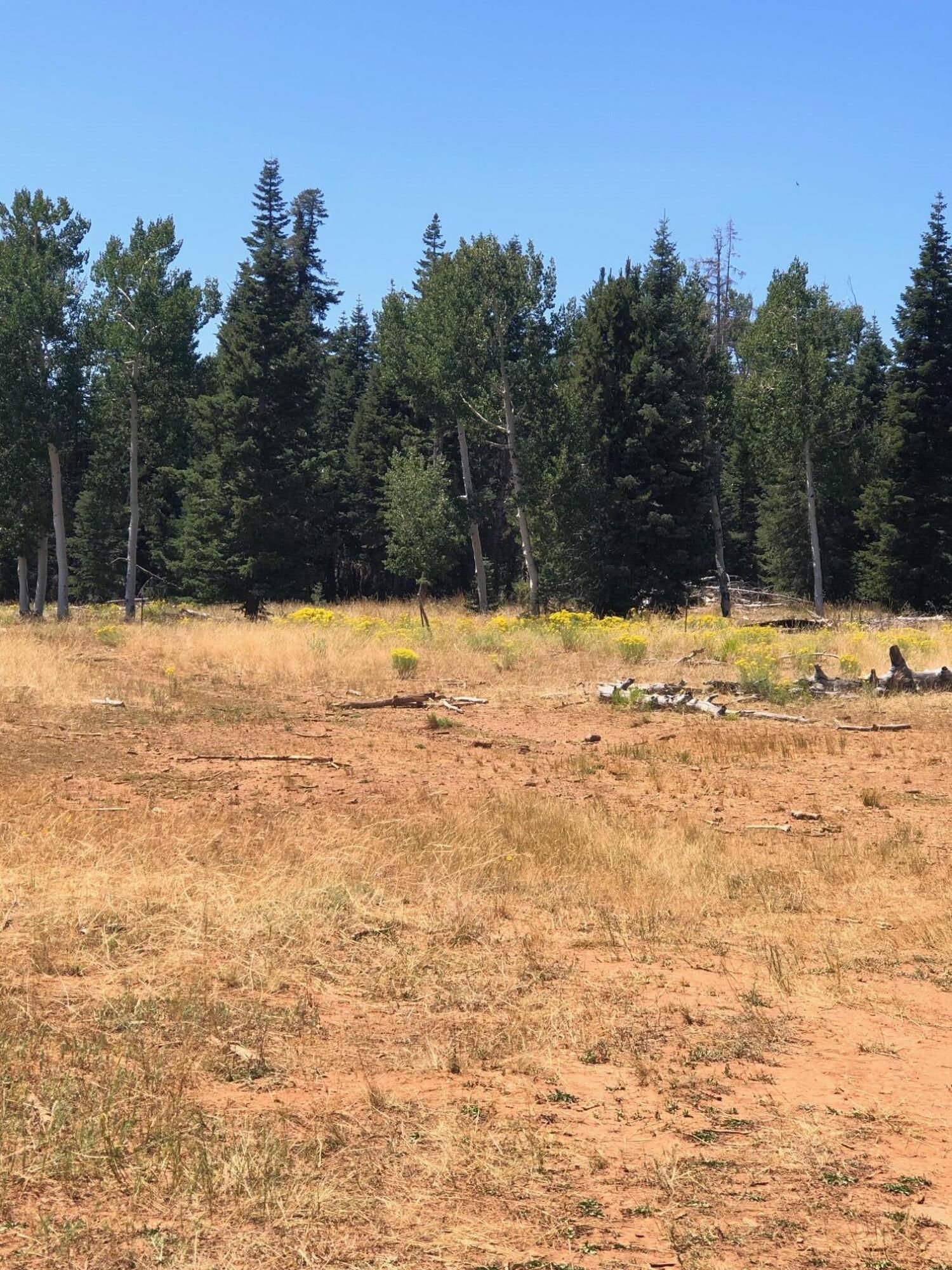 South of and Below Navajo Lake/N Fork R, 225 AC, Duck Creek Village, photo 44 of 55