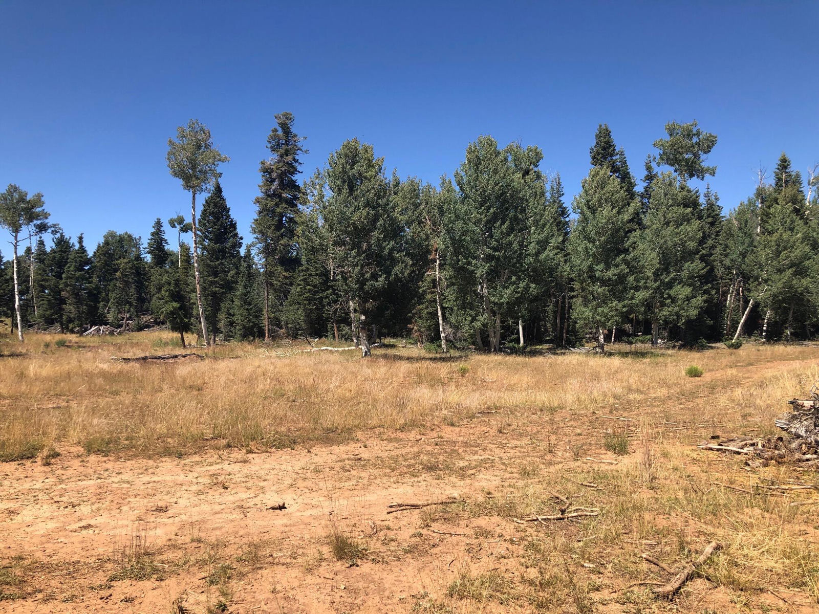 South of and Below Navajo Lake/N Fork R, 225 AC, Duck Creek Village, photo 45 of 55