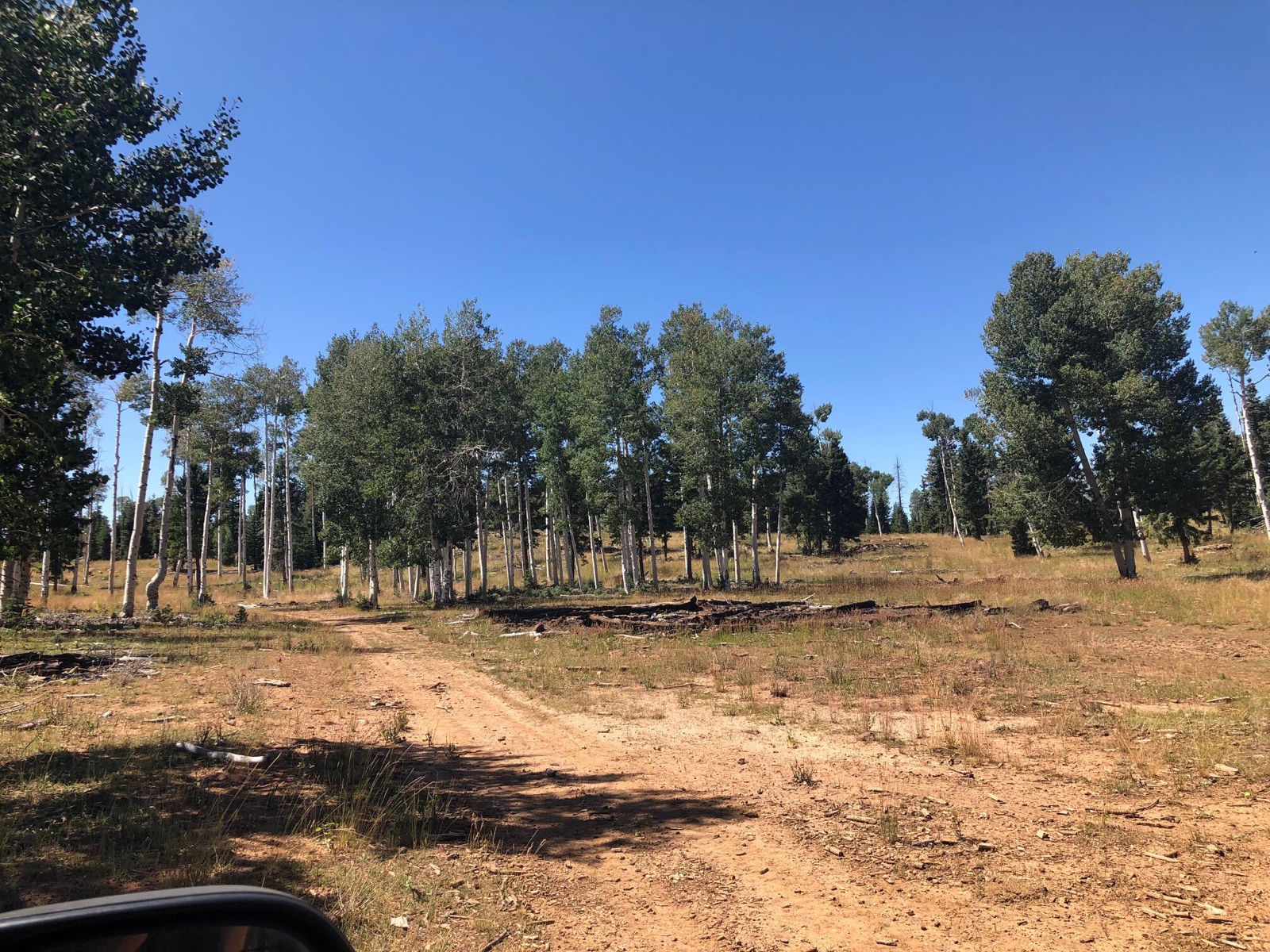 South of and Below Navajo Lake/N Fork R, 225 AC, Duck Creek Village, photo 46 of 55