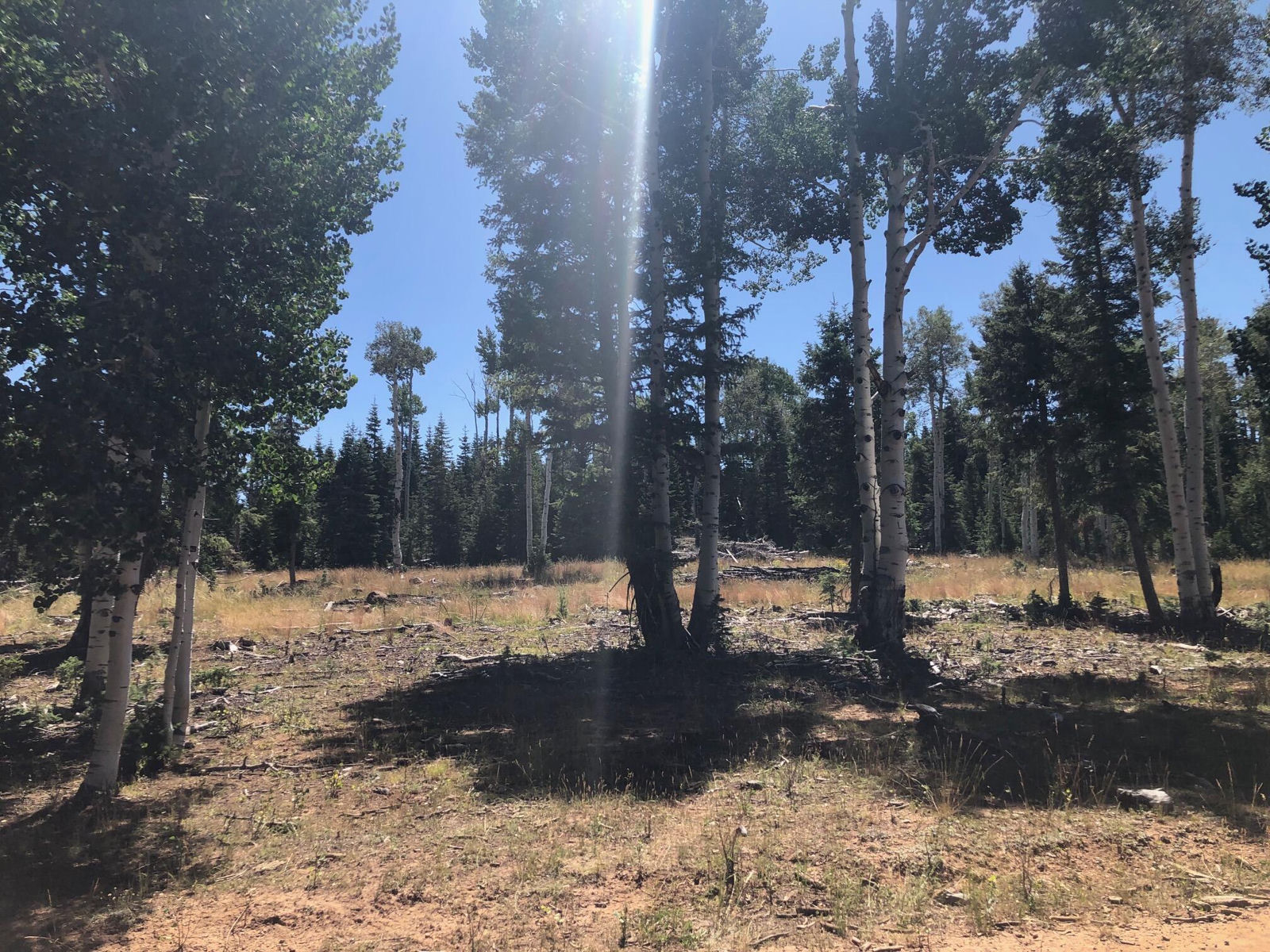 South of and Below Navajo Lake/N Fork R, 225 AC, Duck Creek Village, photo 47 of 55