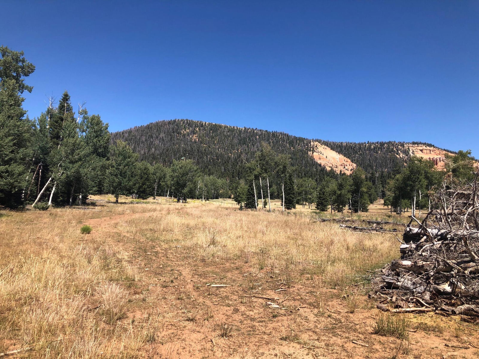 South of and Below Navajo Lake/N Fork R, 225 AC, Duck Creek Village, photo 48 of 55