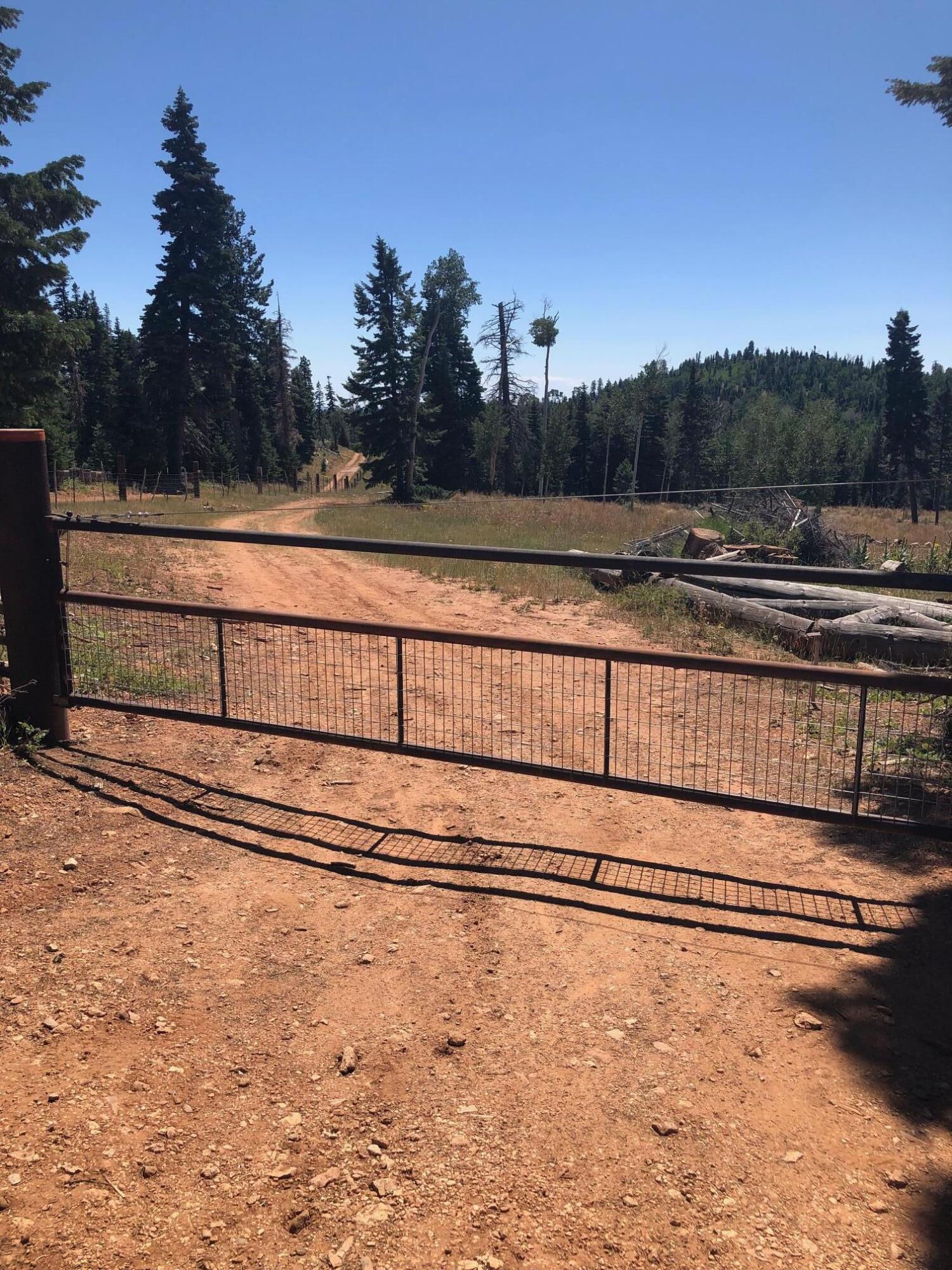 South of and Below Navajo Lake/N Fork R, 225 AC, Duck Creek Village, photo 49 of 55