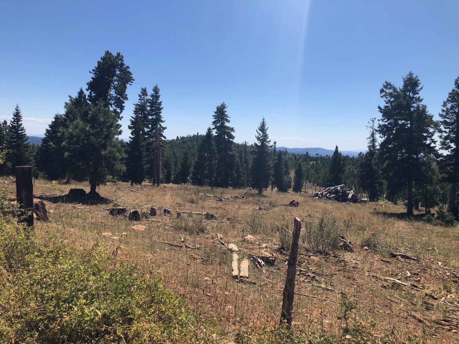 South of and Below Navajo Lake/N Fork R, 225 AC, Duck Creek Village, photo 50 of 55
