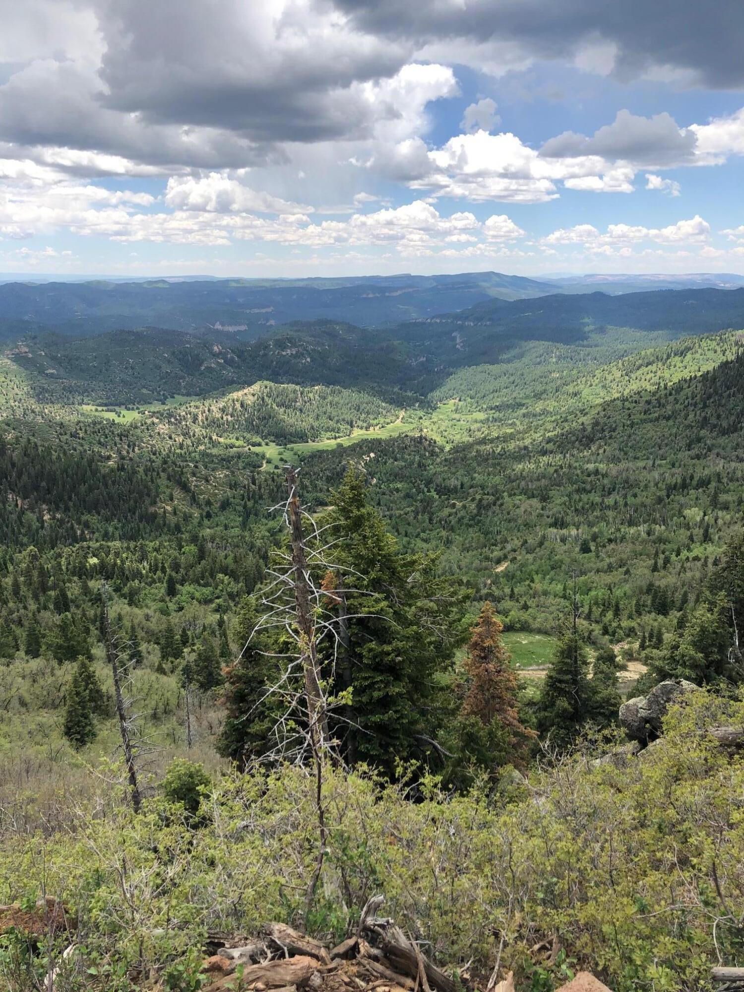 South of and Below Navajo Lake/N Fork R, 225 AC, Duck Creek Village, photo 51 of 55