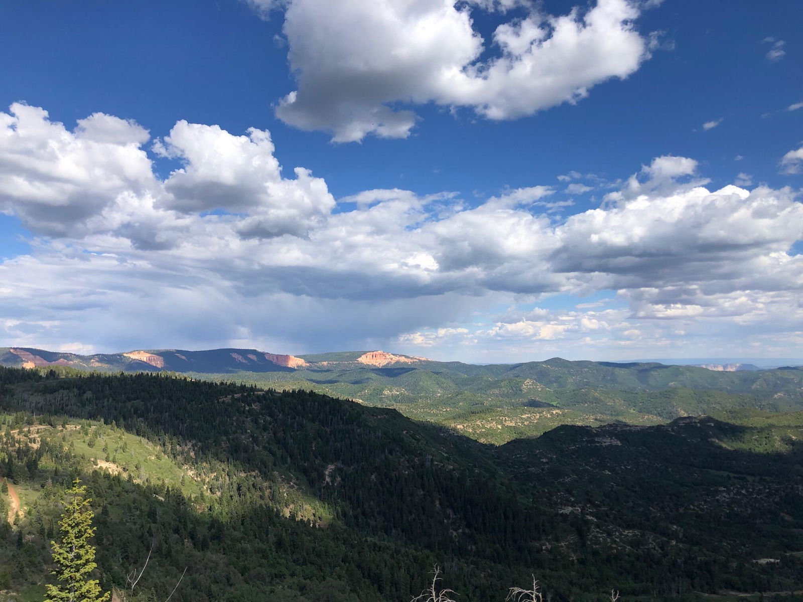 South of and Below Navajo Lake/N Fork R, 225 AC, Duck Creek Village, photo 52 of 55