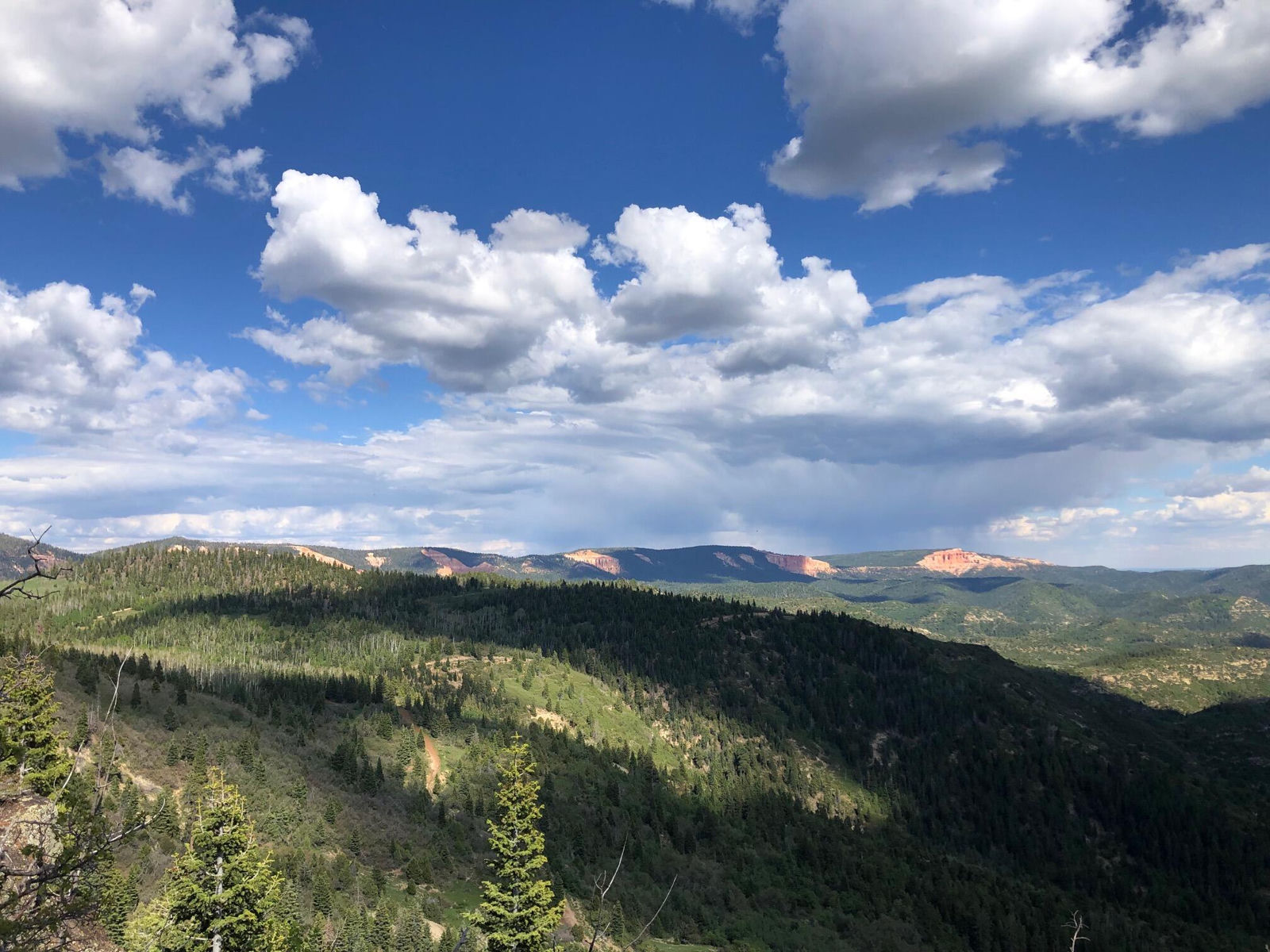 South of and Below Navajo Lake/N Fork R, 225 AC, Duck Creek Village, photo 53 of 55