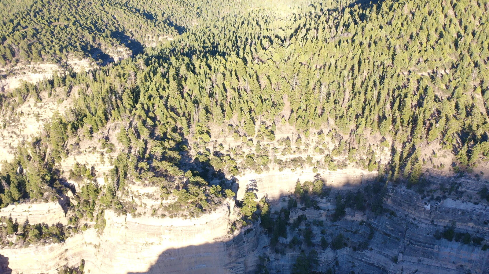 337 Acres off Hwy 14, Cedar City, photo 18 of 37