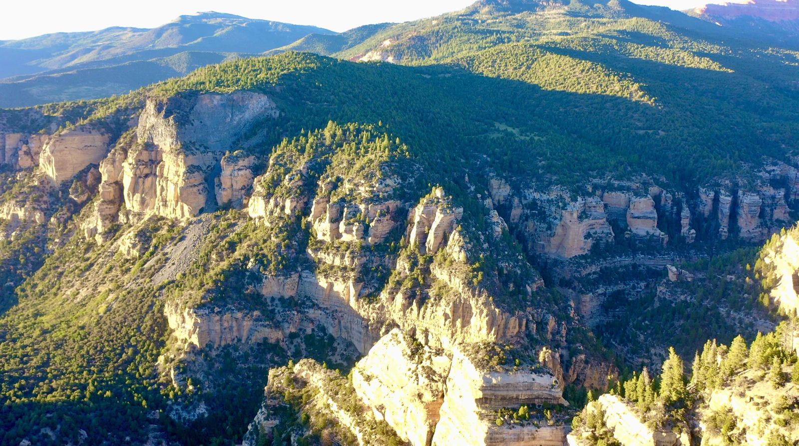 337 Acres off Hwy 14, Cedar City, photo 19 of 37