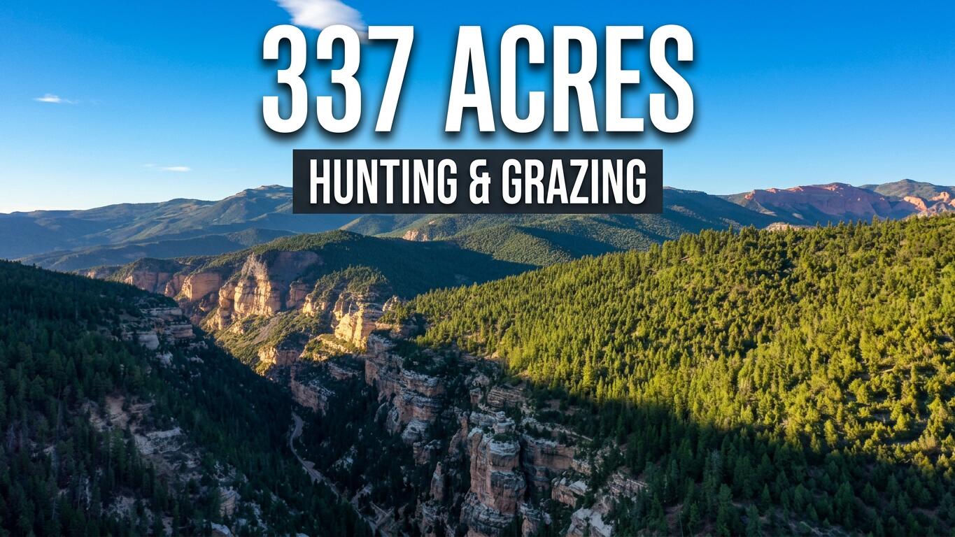 337 Acres off Hwy 14, Cedar City, photo 32 of 37