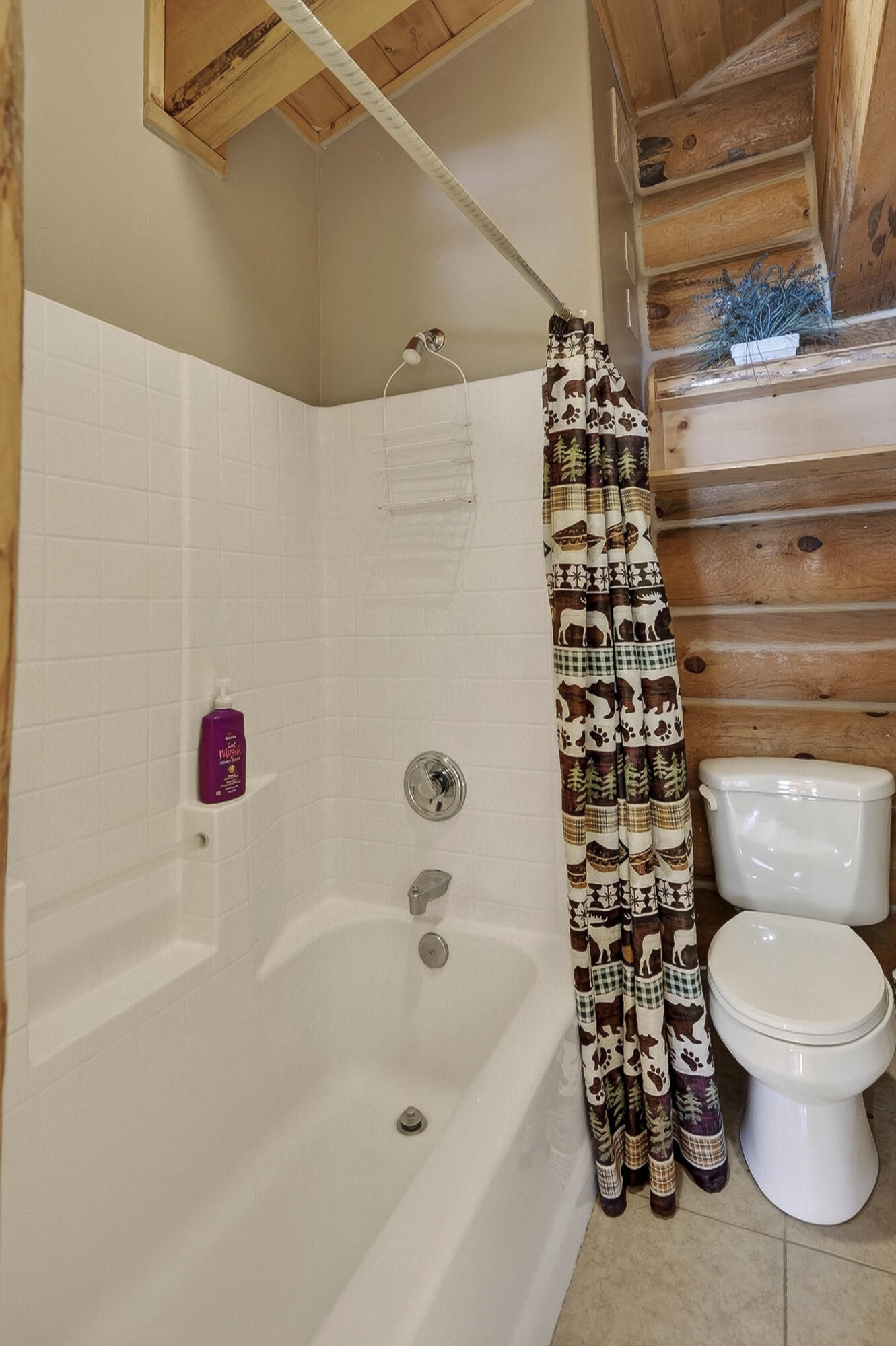 1074 S Bristlecone LN, Brian Head, photo 29 of 103