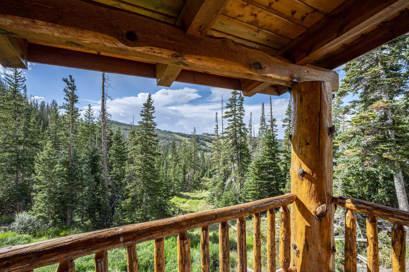 1074 S Bristlecone LN, Brian Head, photo 84 of 103
